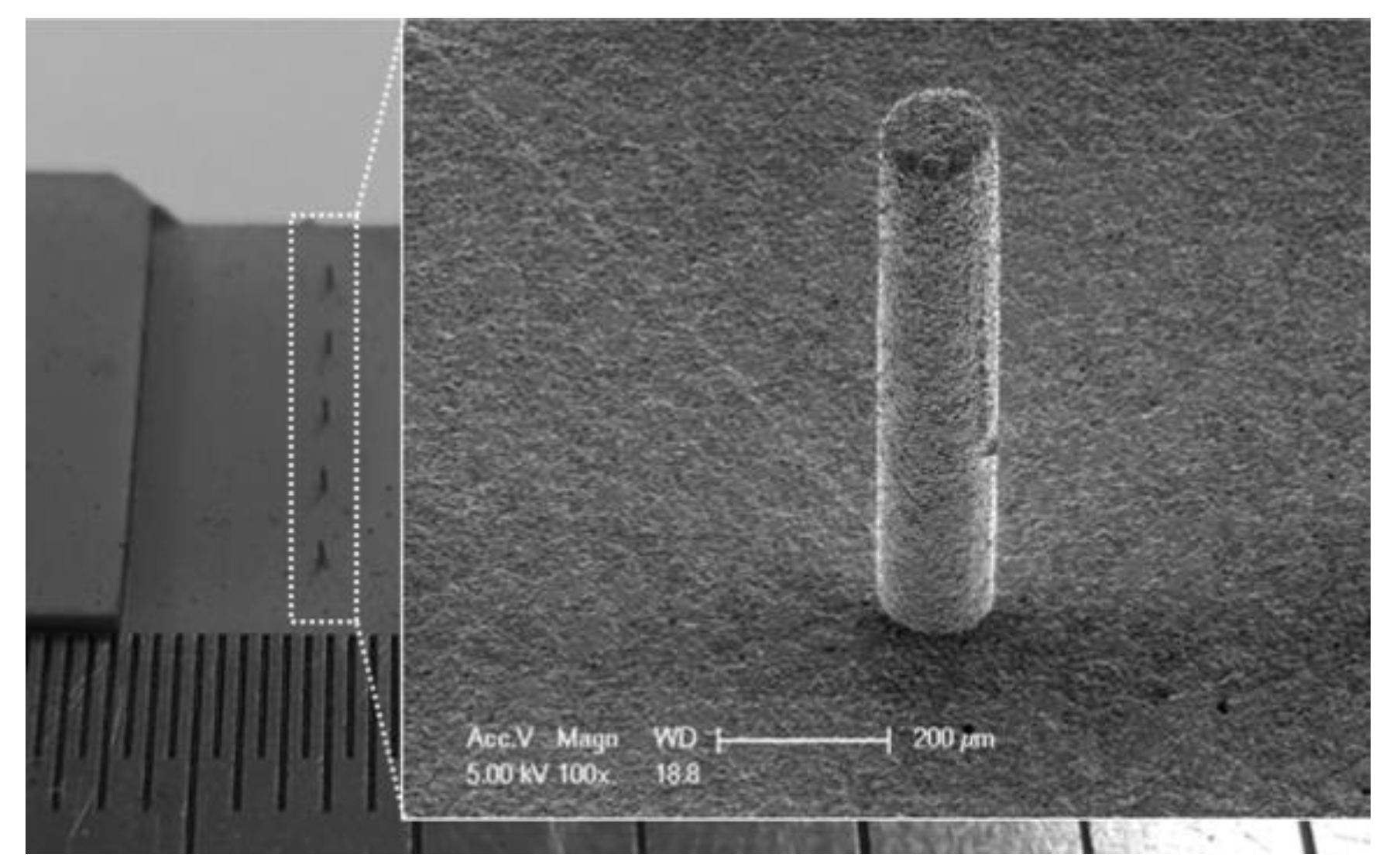 Micromachines 15 00982 g025