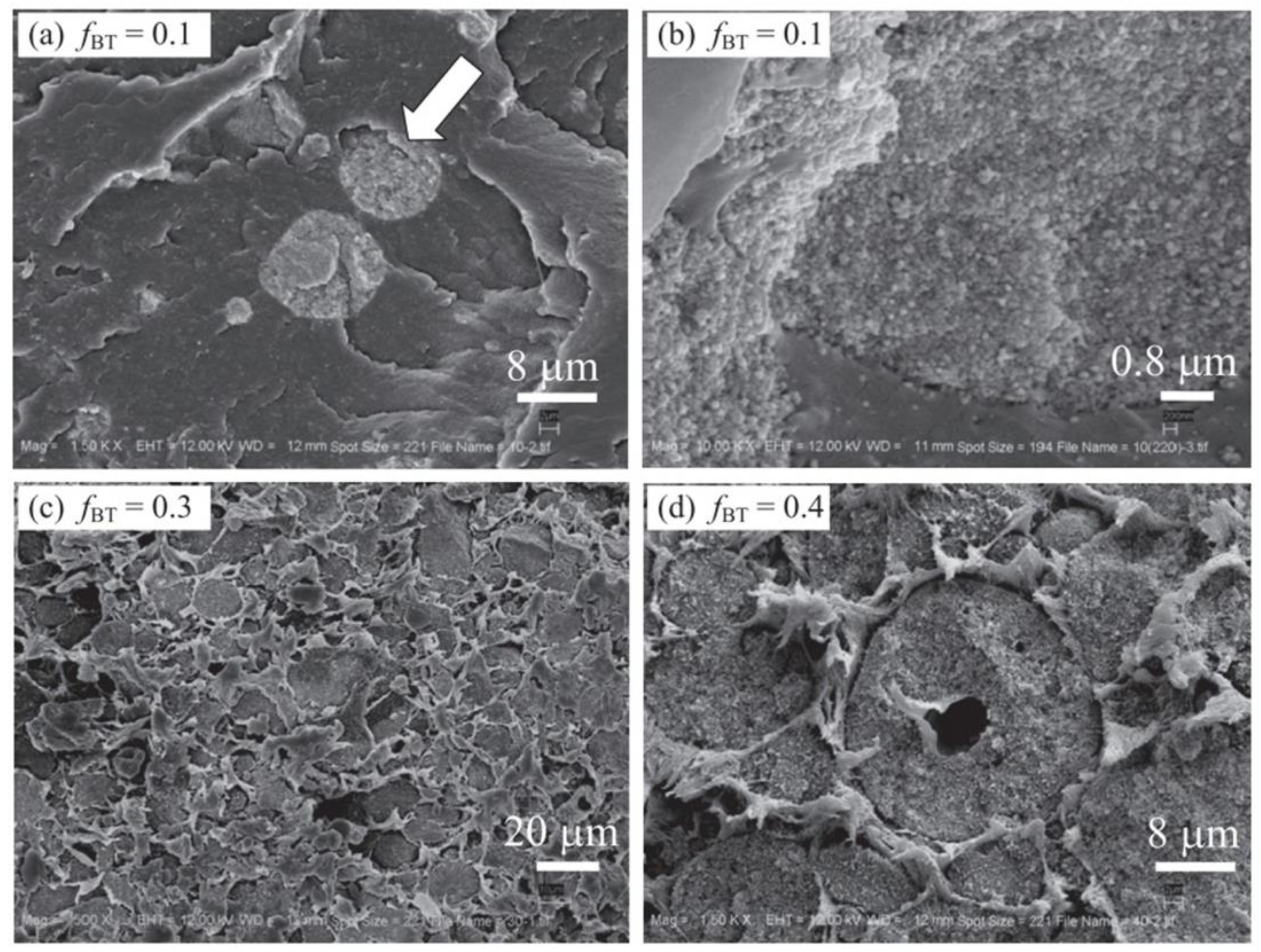 Micromachines 15 00982 g037