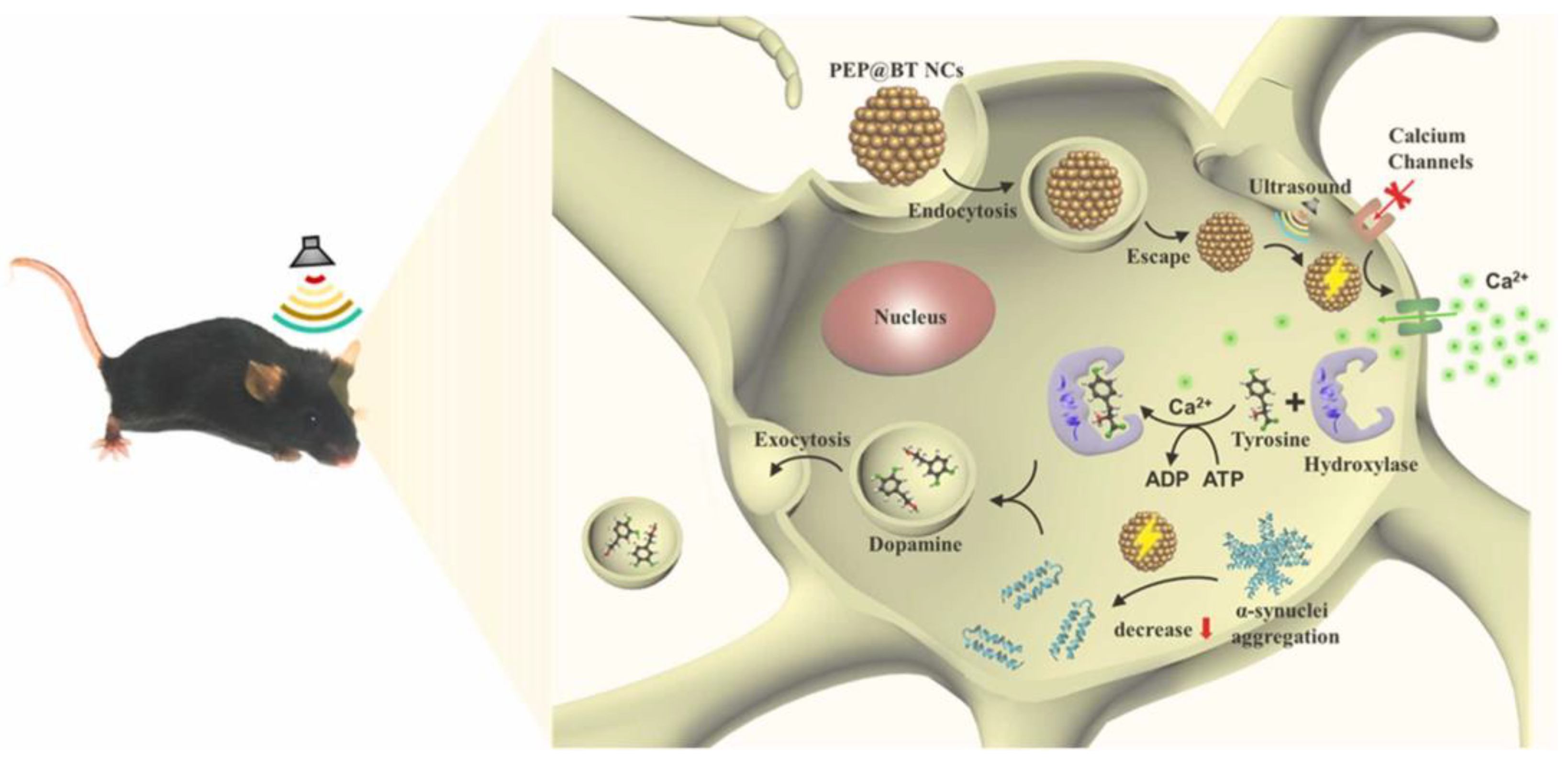 Micromachines 15 00982 g045