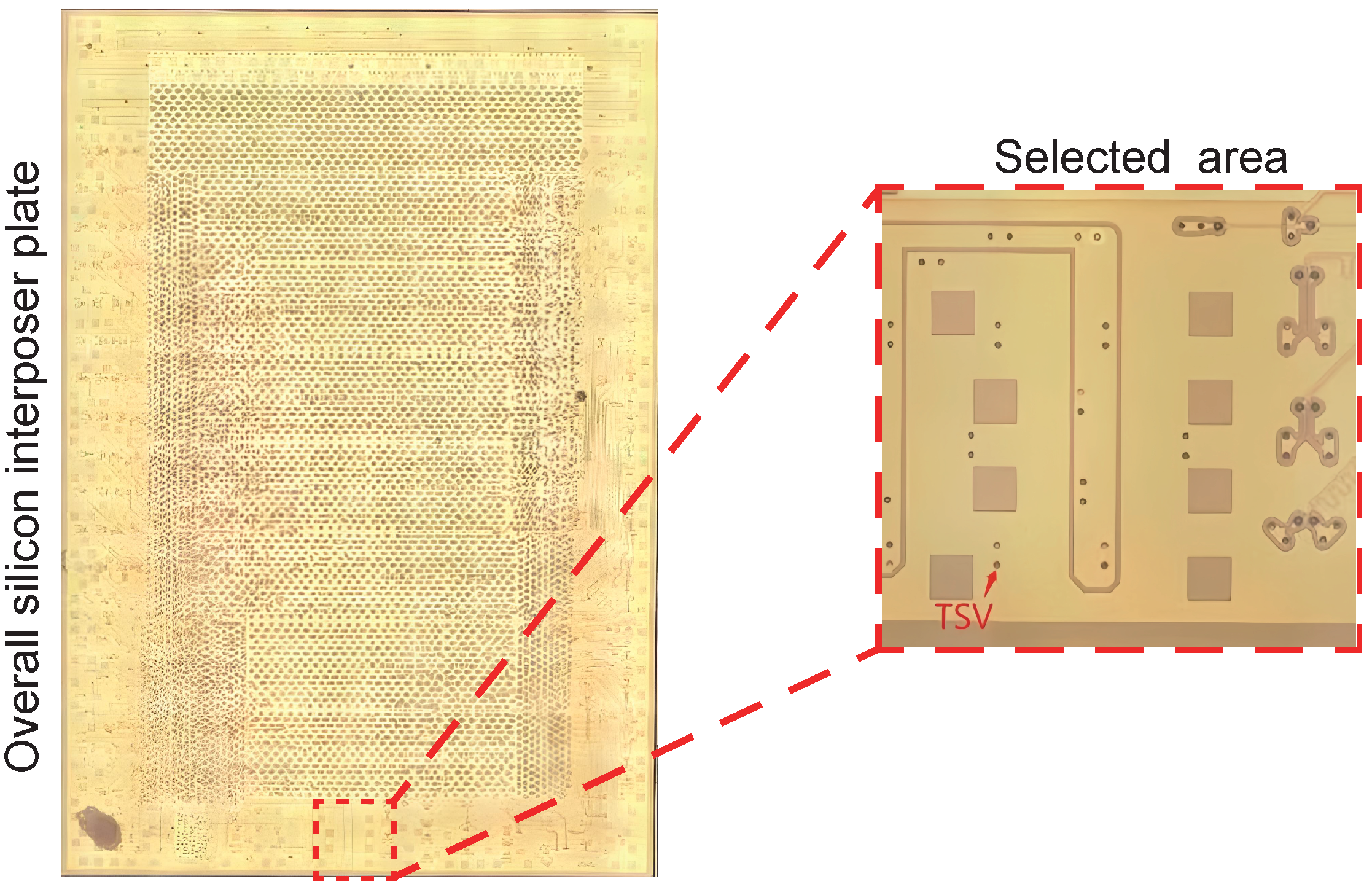 Micromachines 15 00986 g001