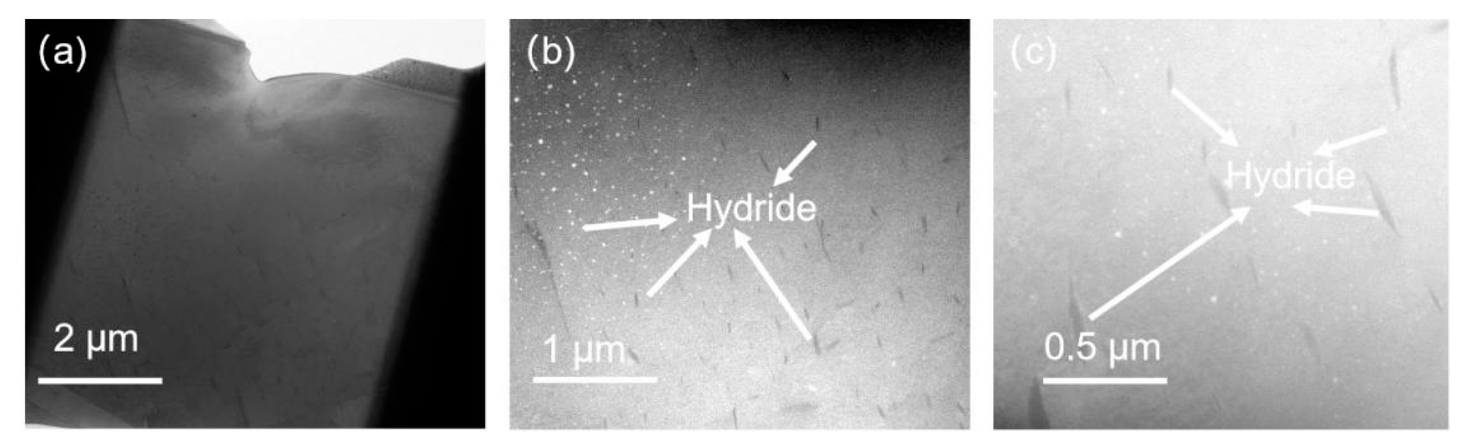 Micromachines 15 00999 g004