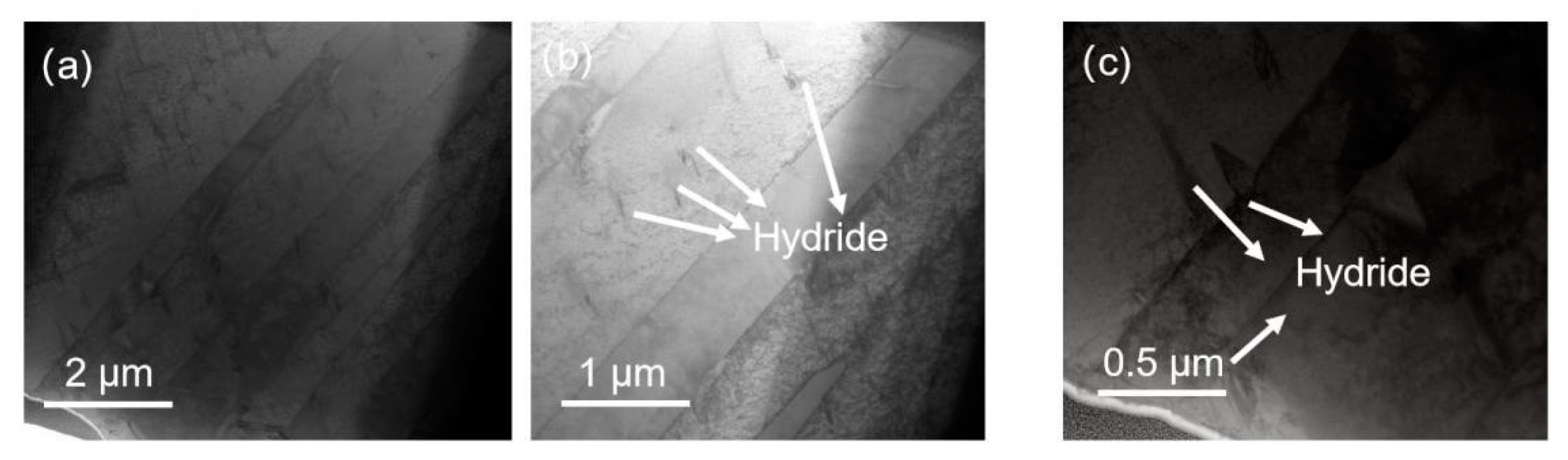 Micromachines 15 00999 g005