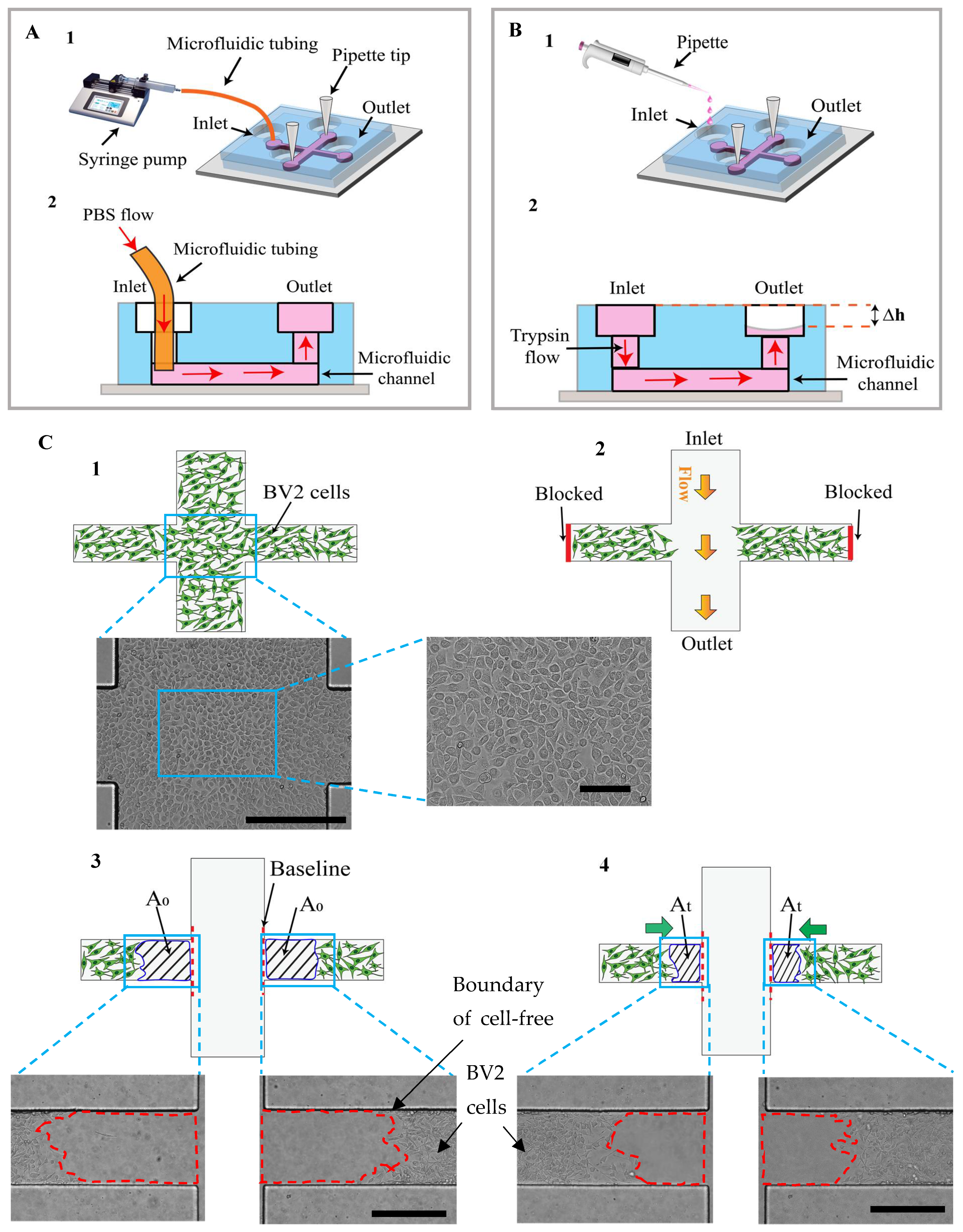 Micromachines 15 01004 g002