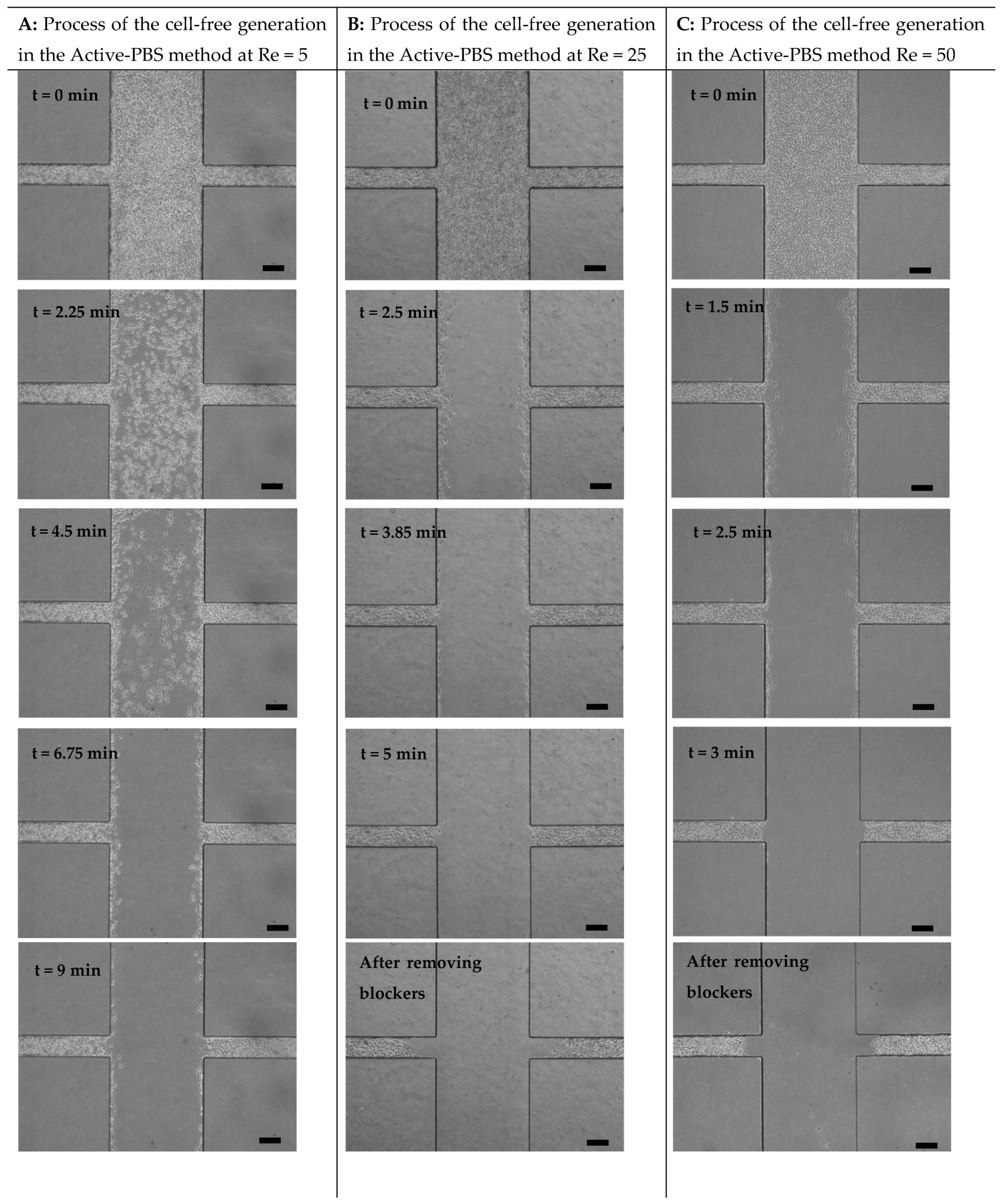 Micromachines 15 01004 g003a