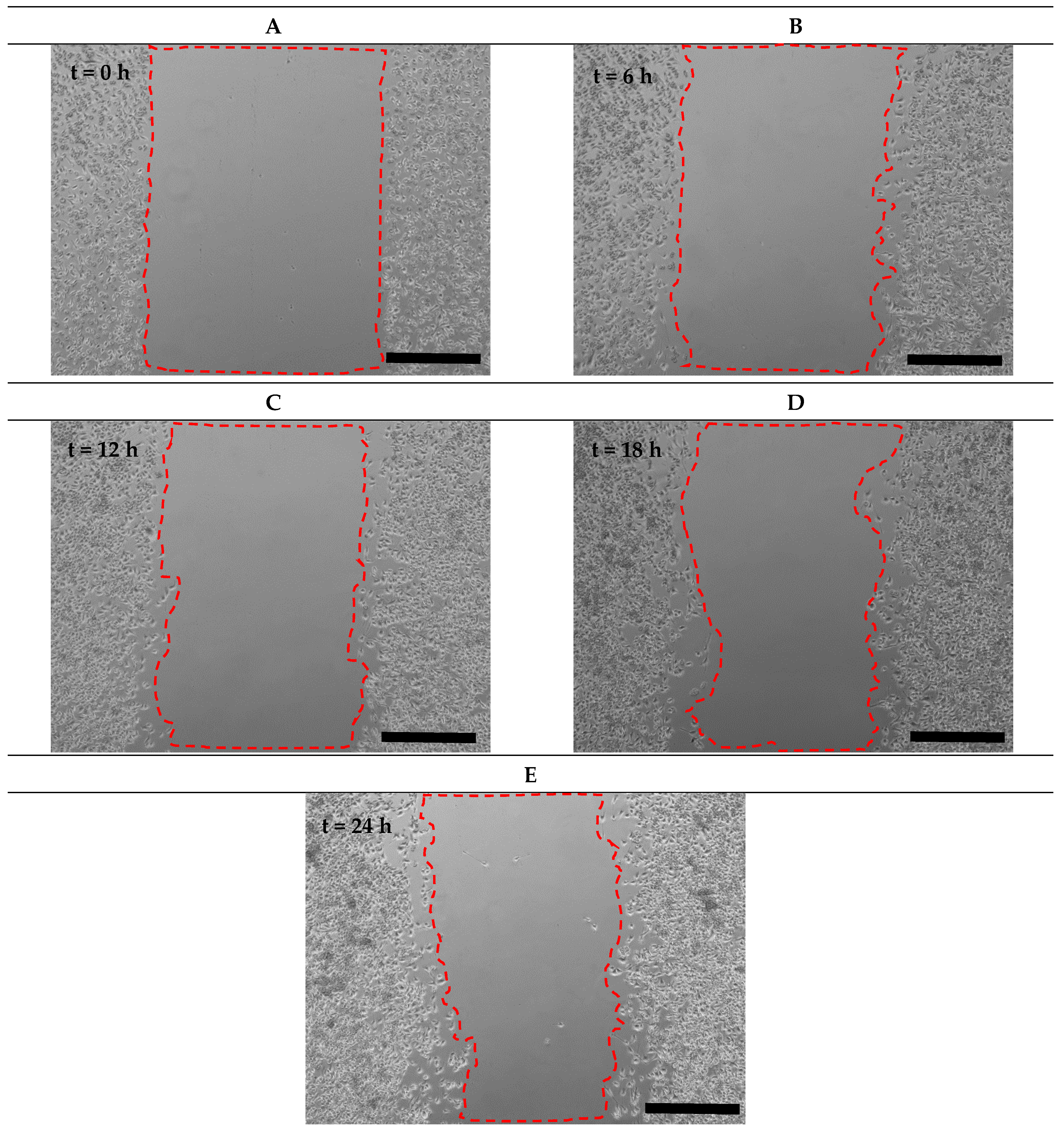 Micromachines 15 01004 g008