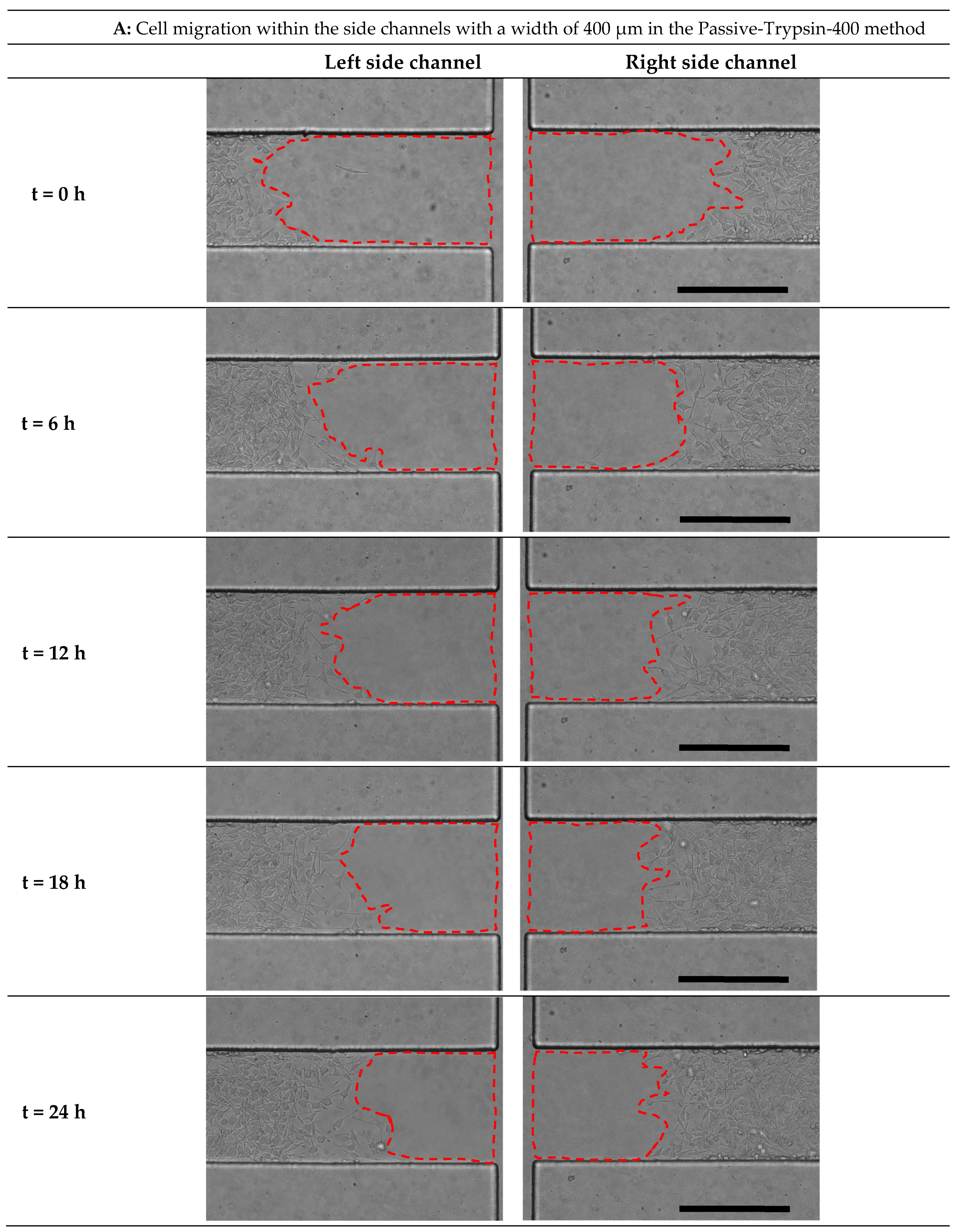 Micromachines 15 01004 g009a