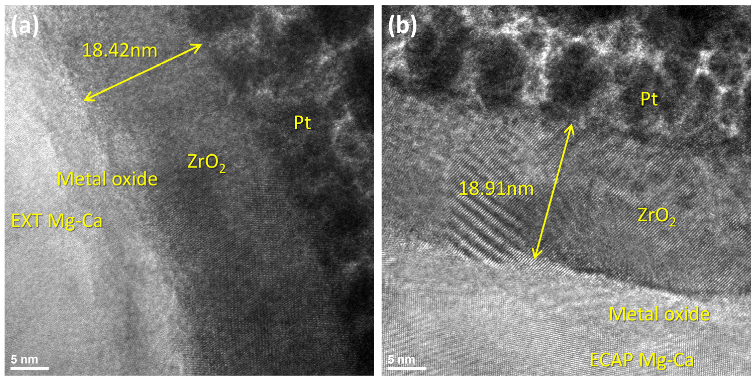 Micromachines 15 01006 g006