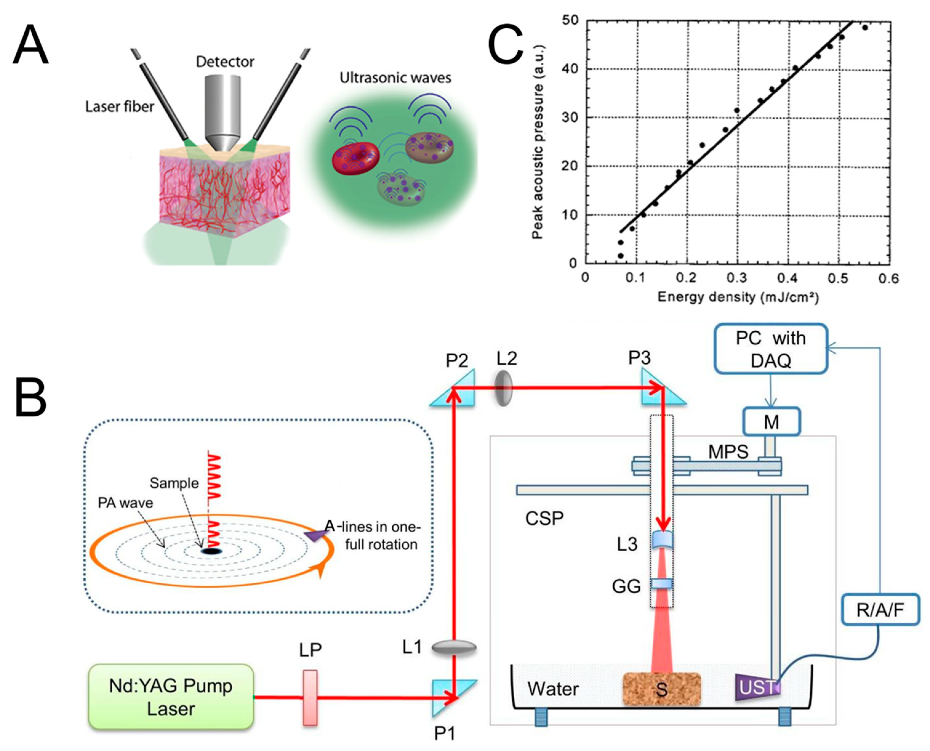 Micromachines 15 01007 g001