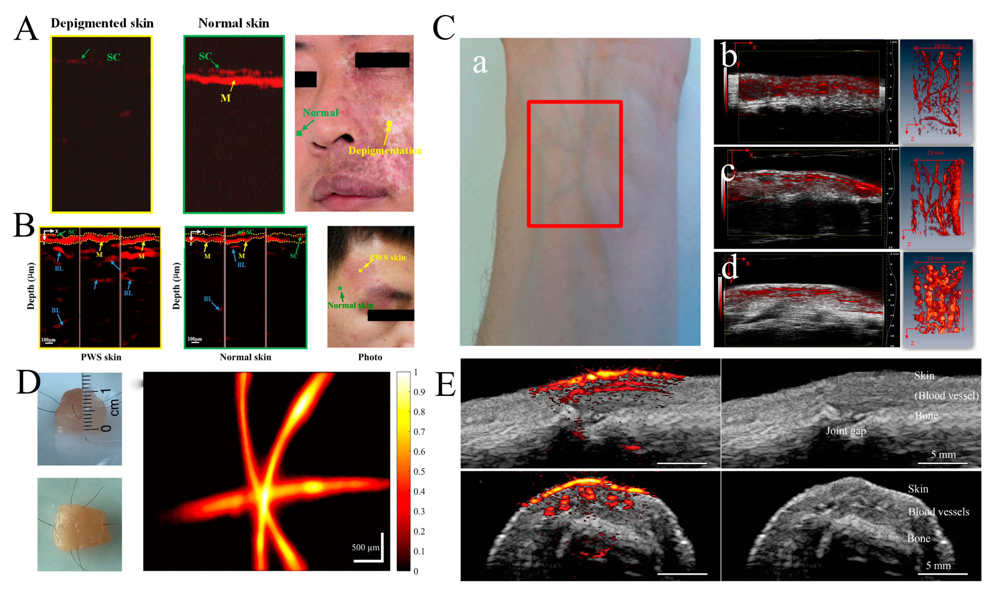 Micromachines 15 01007 g005