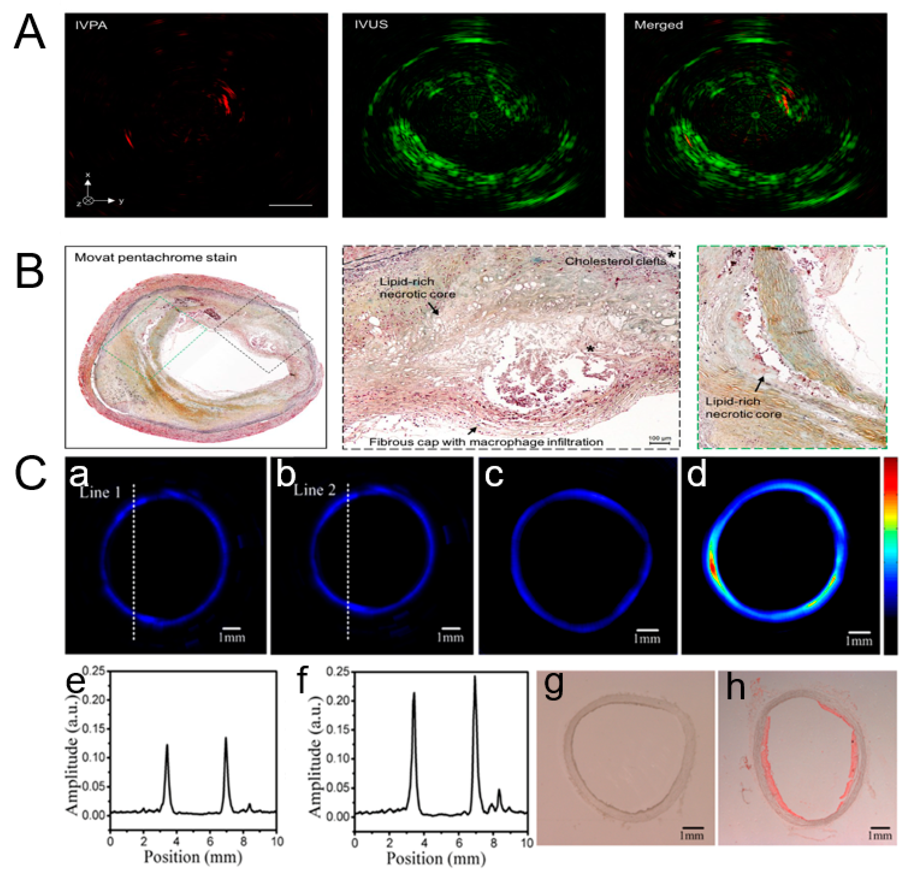 Micromachines 15 01007 g006