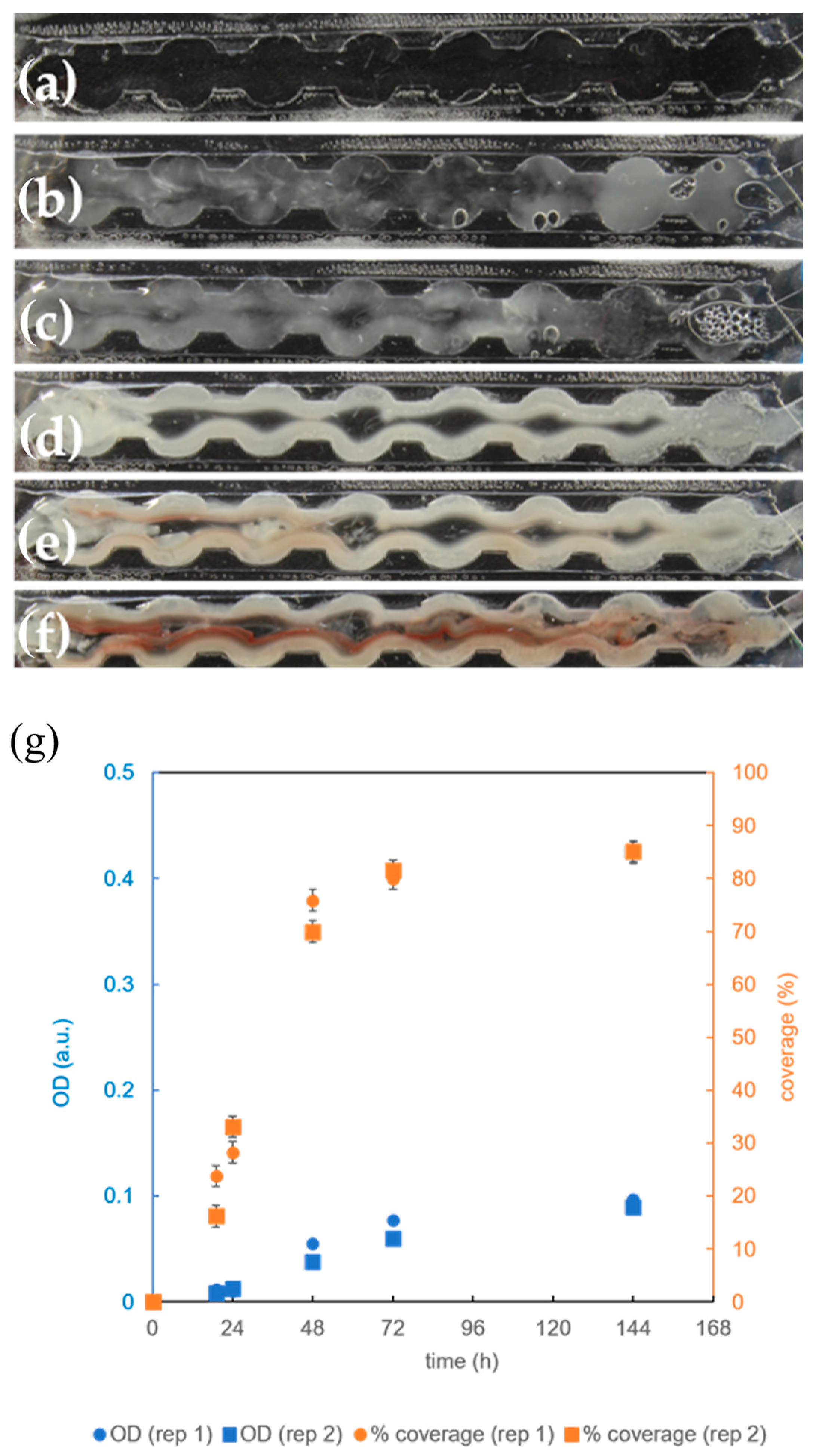 Micromachines 15 01037 g006