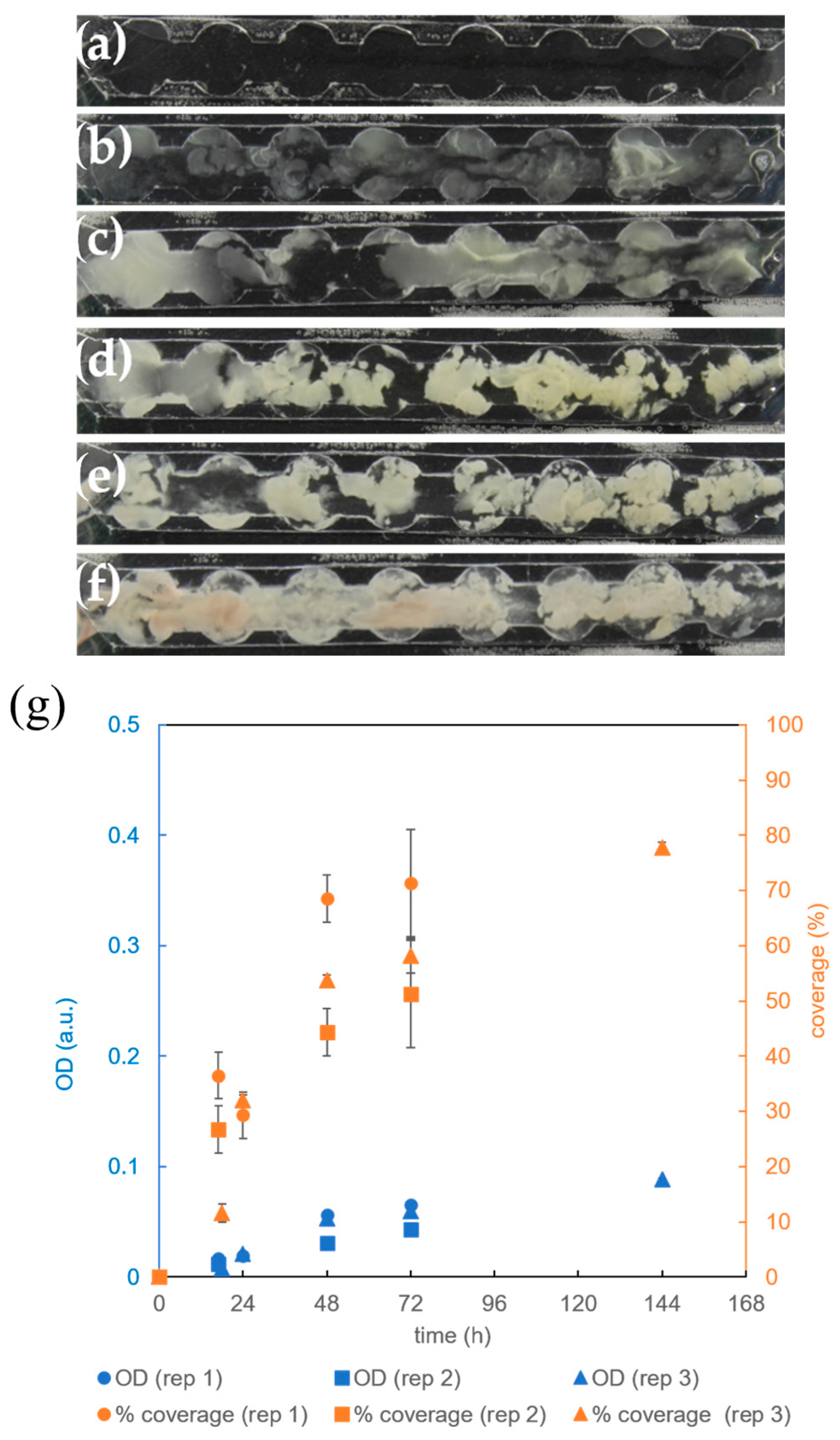 Micromachines 15 01037 g007