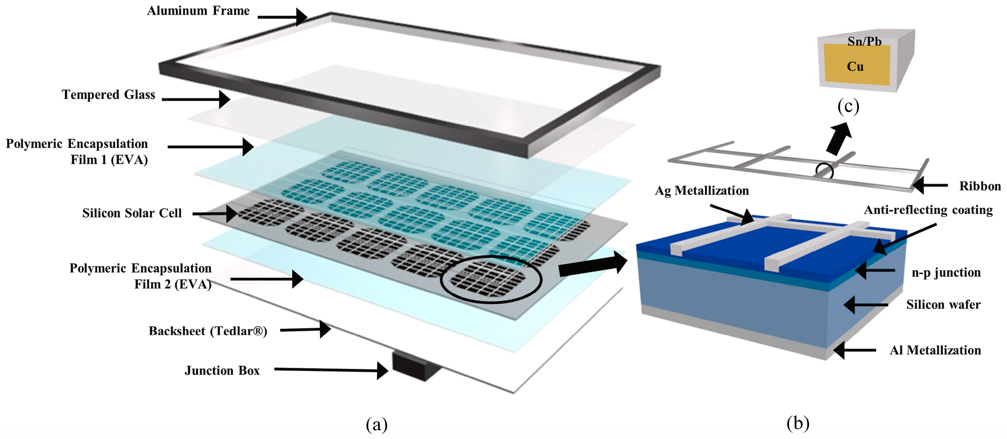 Micromachines 15 01041 g001