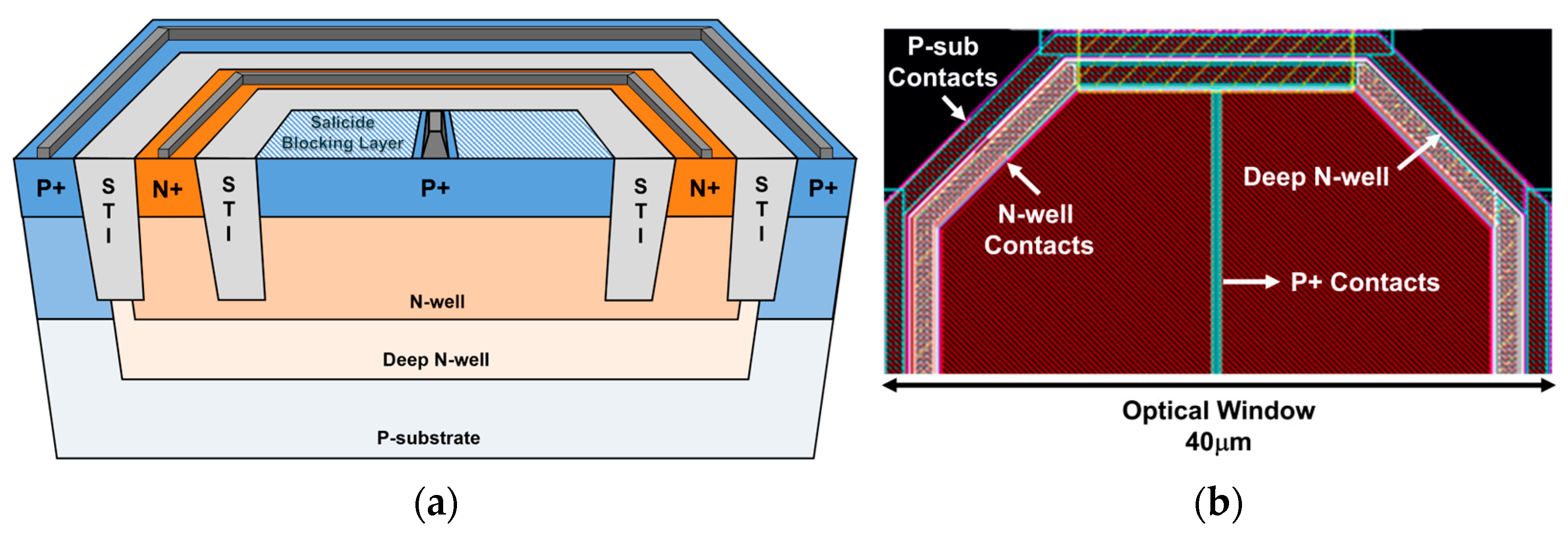 Micromachines 15 01066 g002