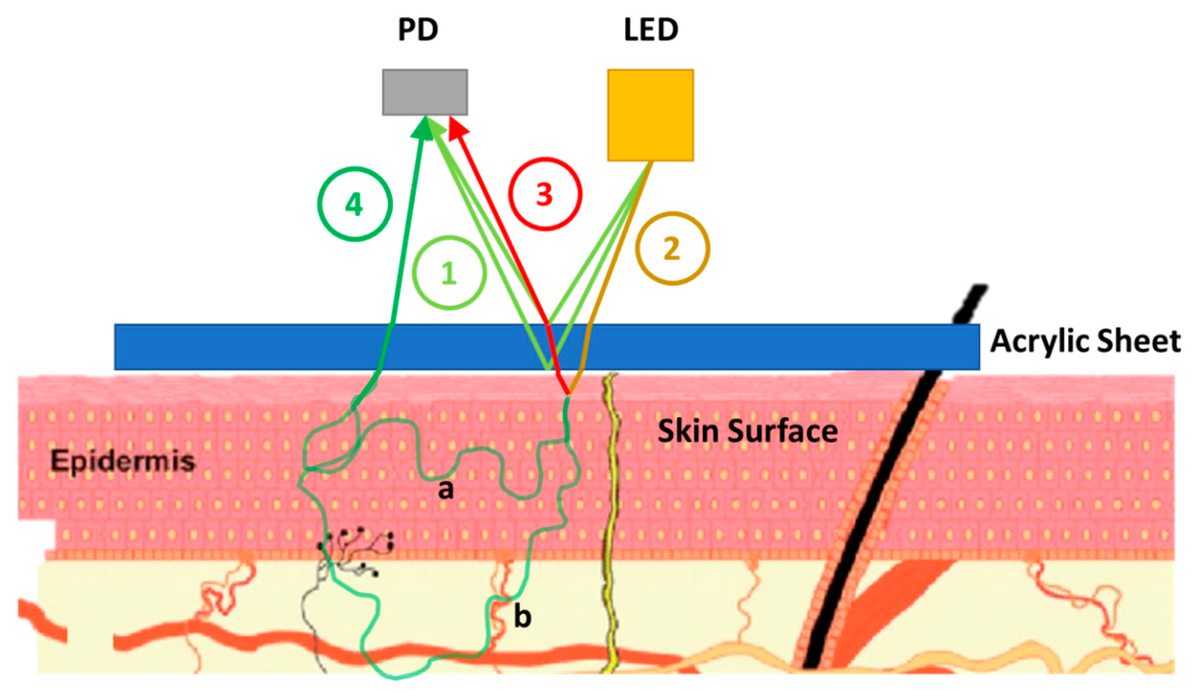 Micromachines 15 01067 g001