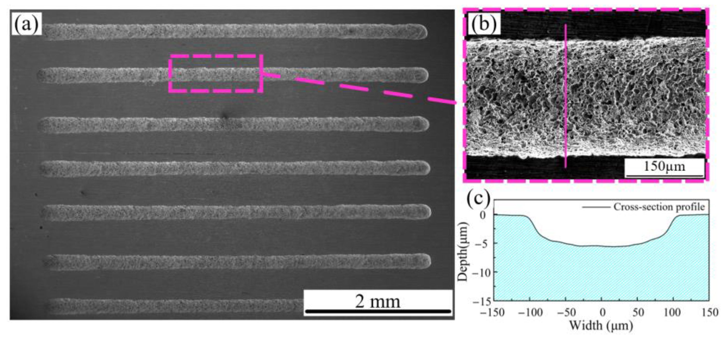 Micromachines 15 01074 g010