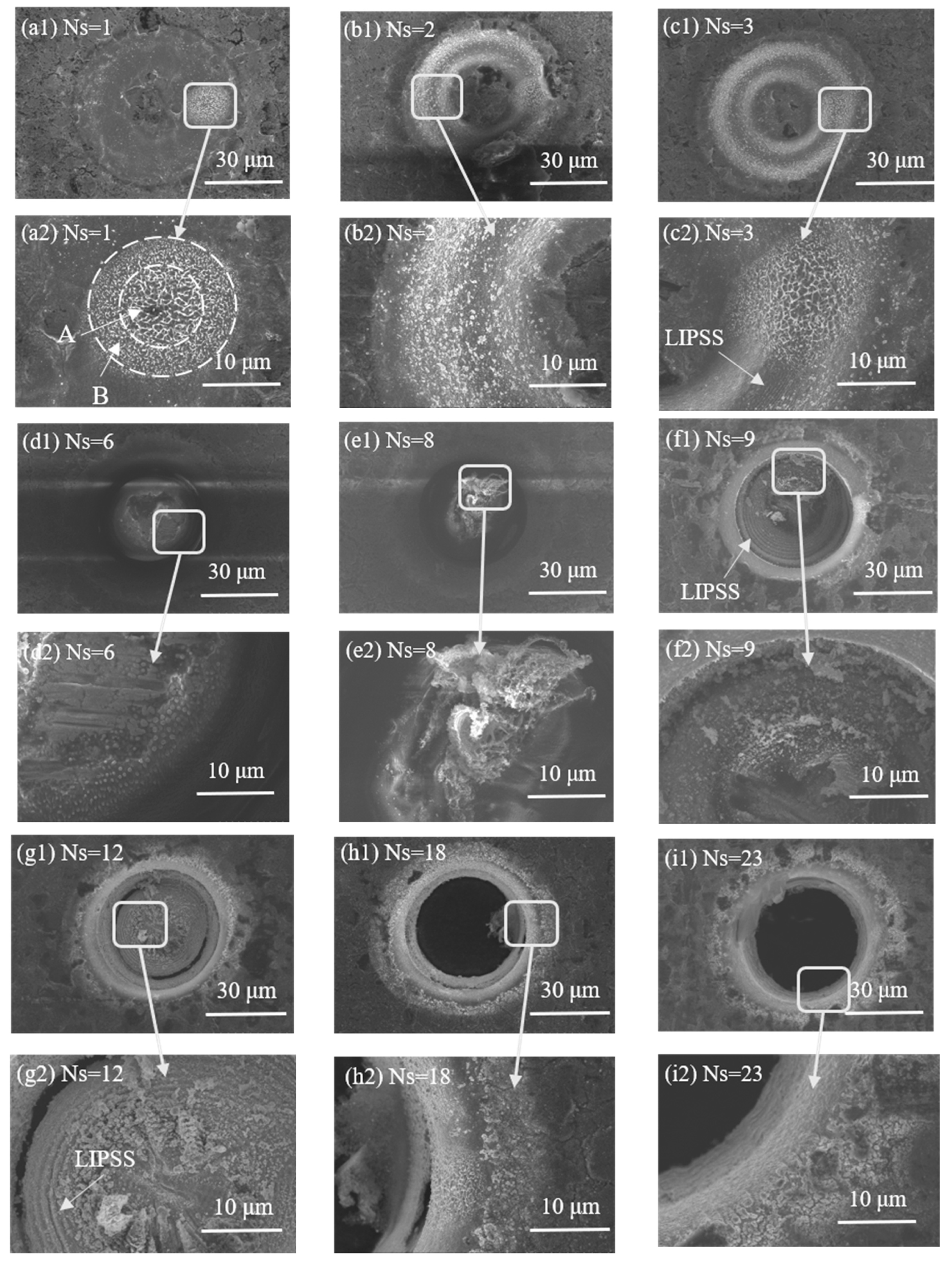 Micromachines 15 01078 g002