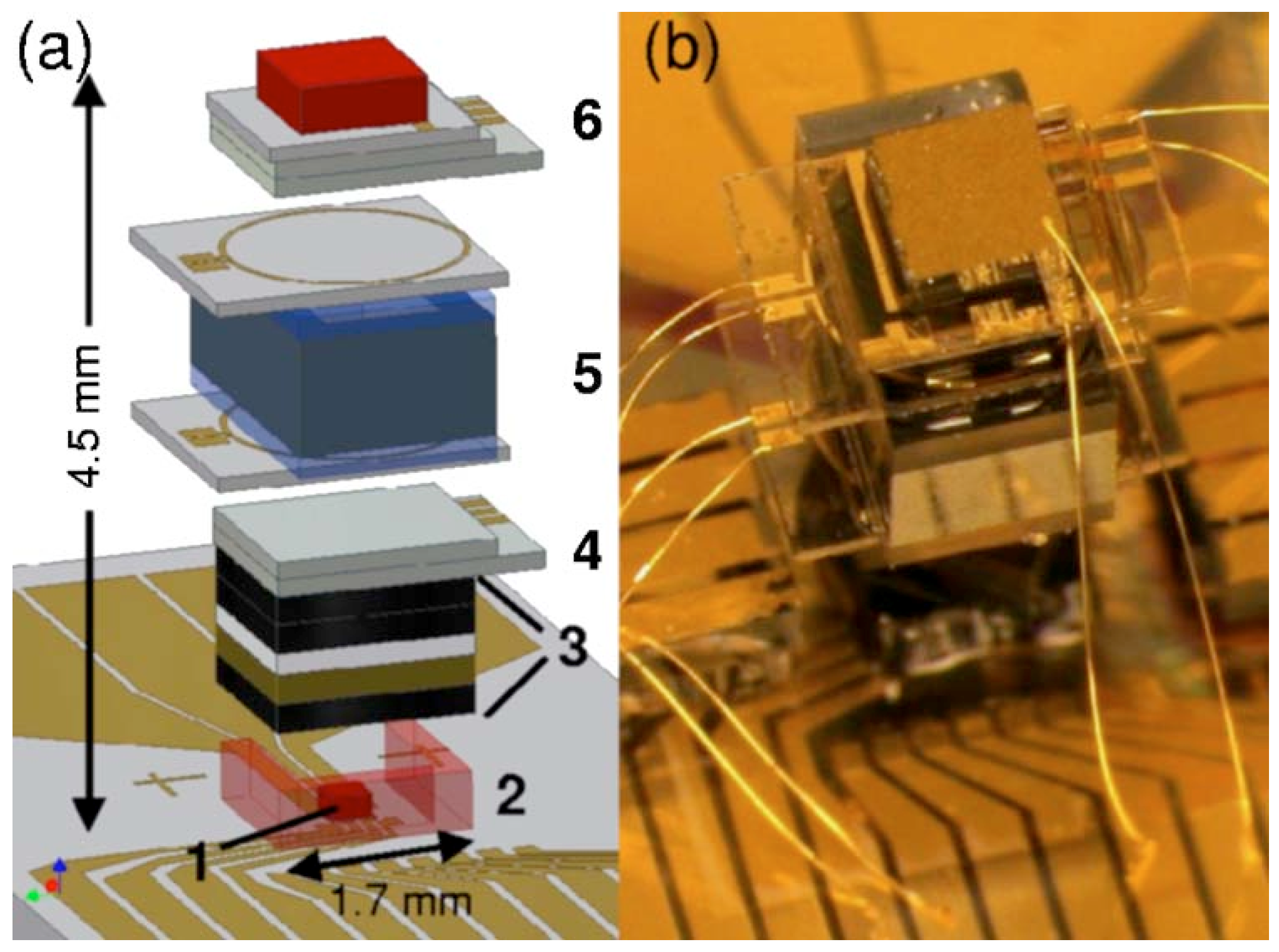 Micromachines 15 01095 g019
