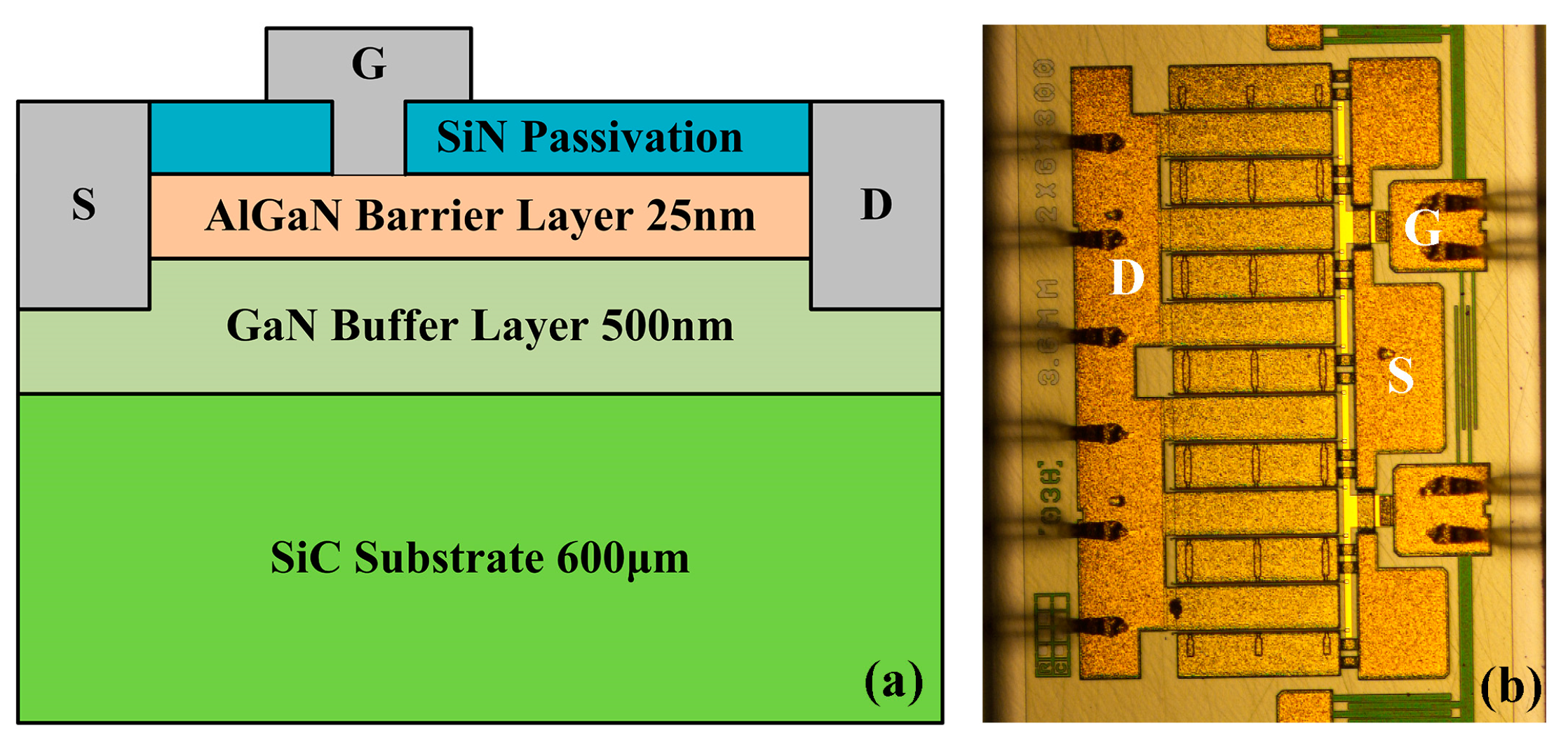 Micromachines 15 01100 g001