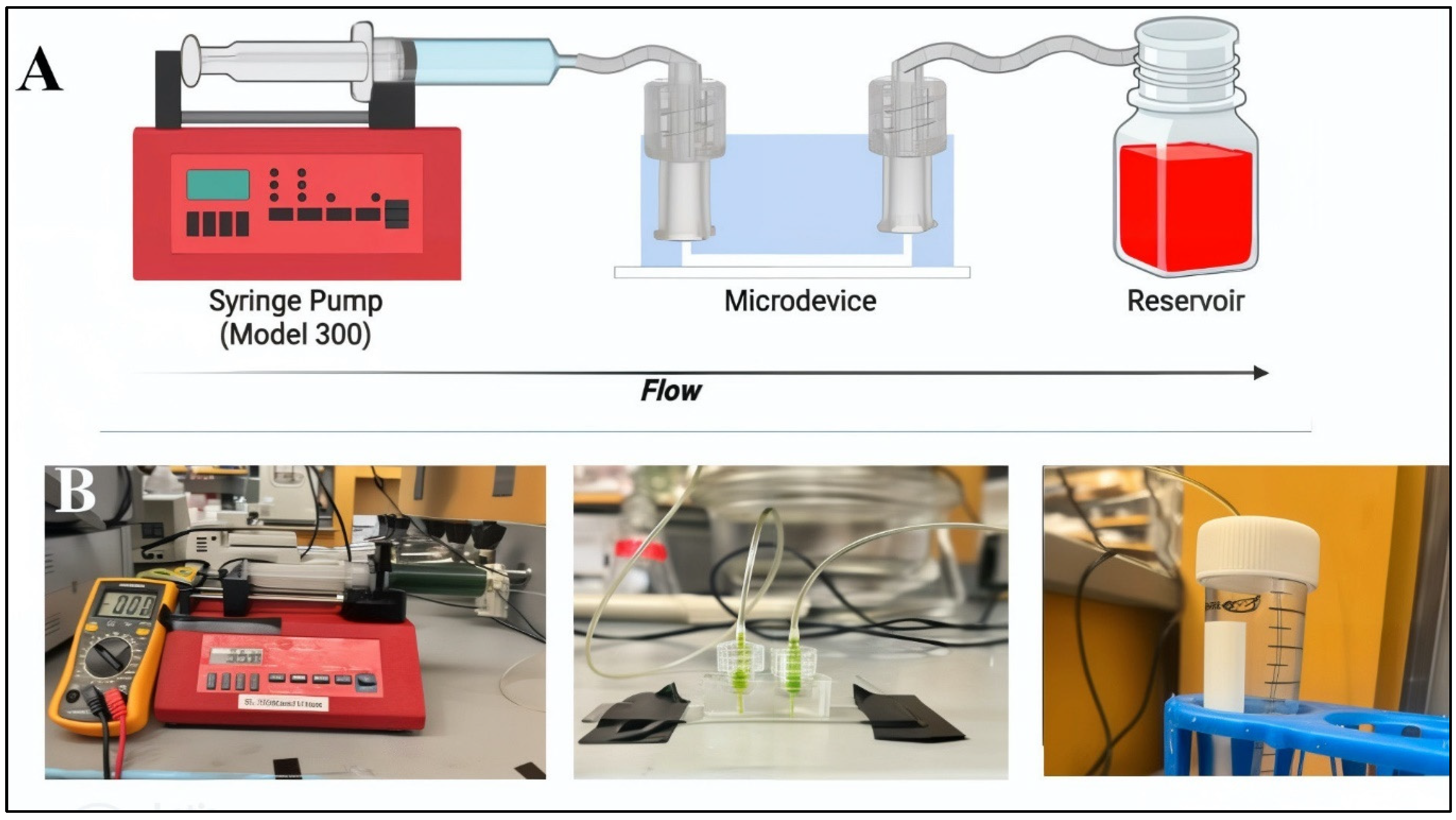 Micromachines 15 01103 g004