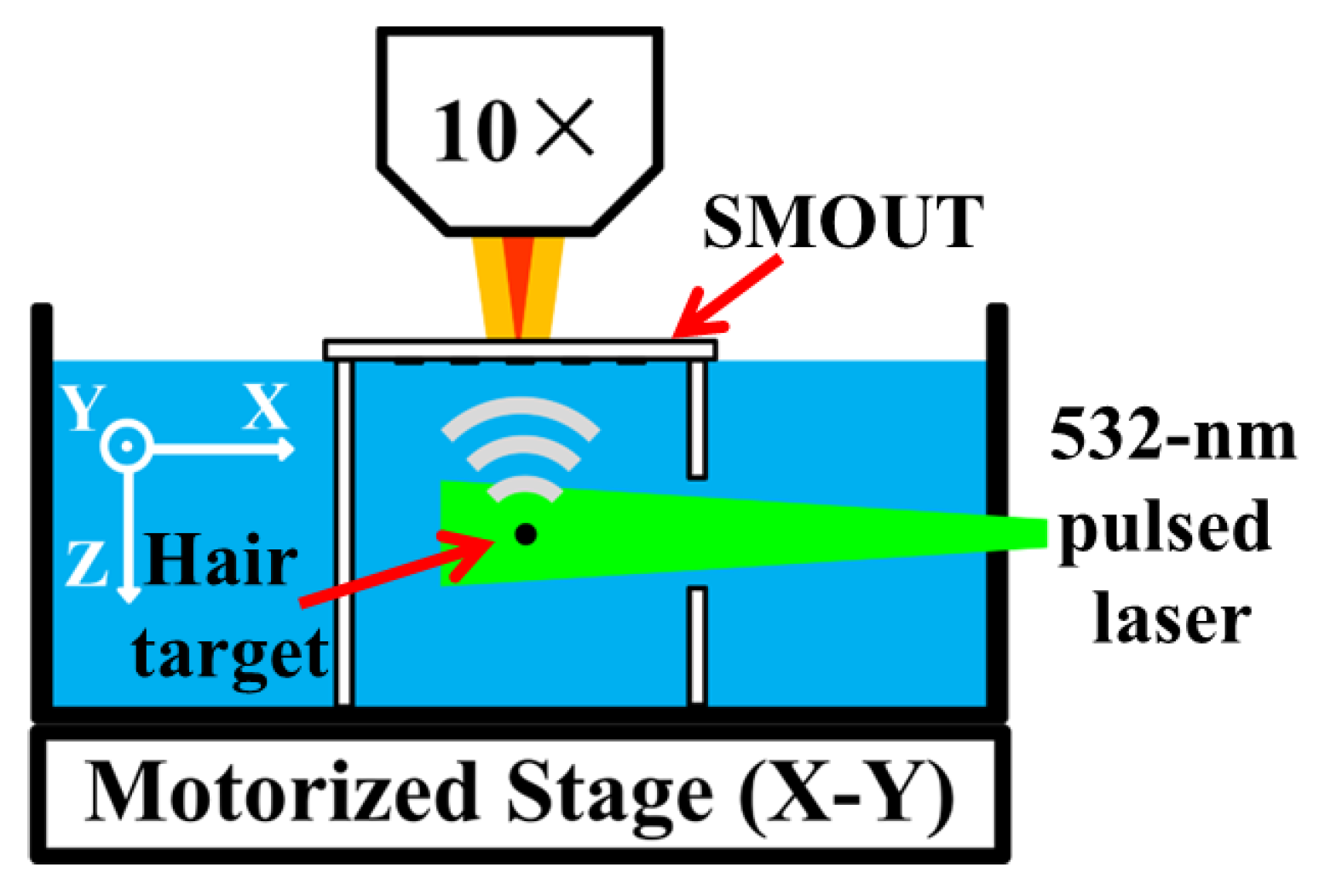 Micromachines 15 01111 g013