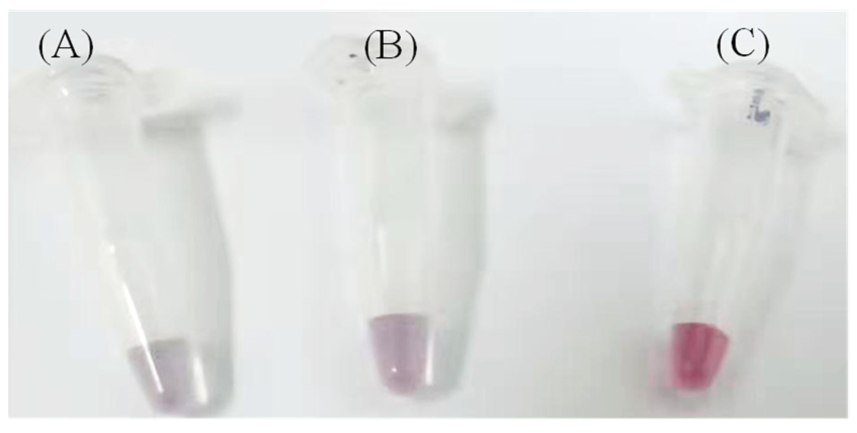 Micromachines 15 01116 g001