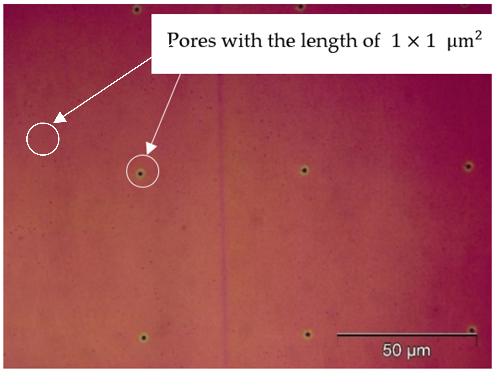 Micromachines 15 01118 g005
