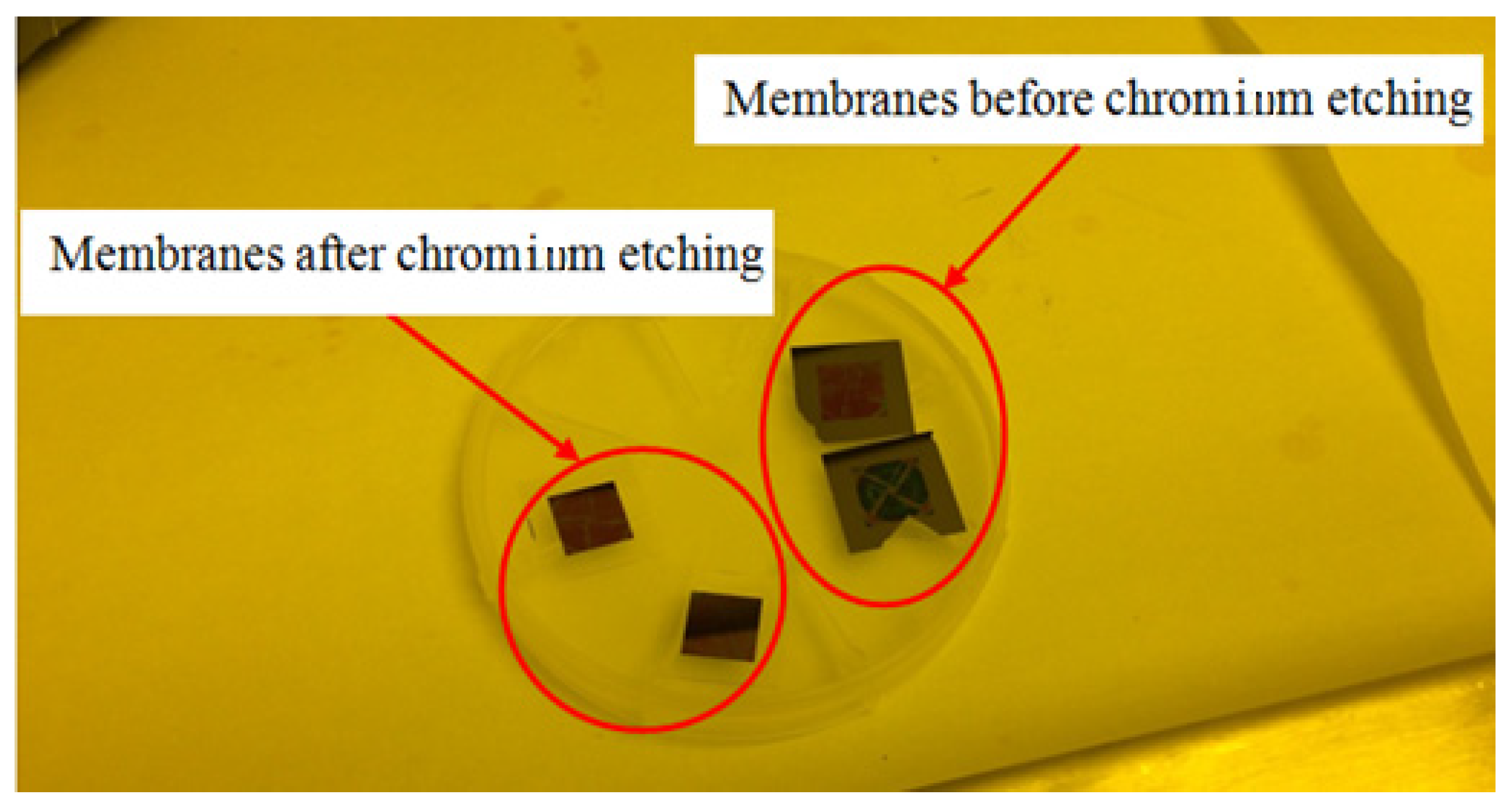 Micromachines 15 01118 g006