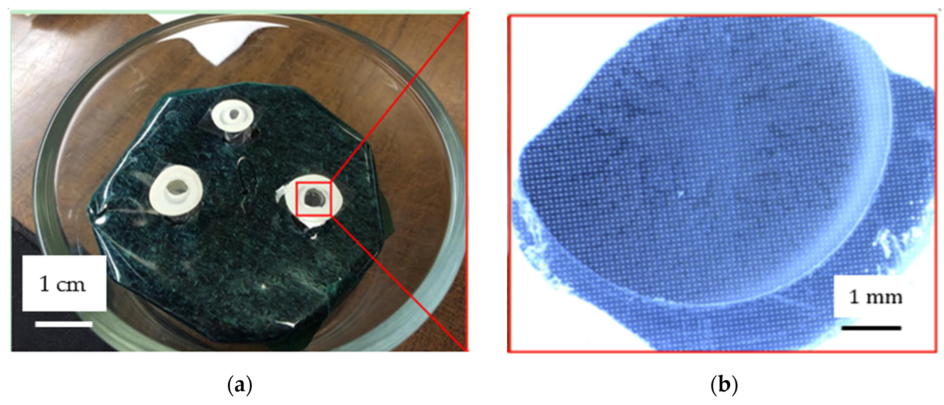 Micromachines 15 01118 g010