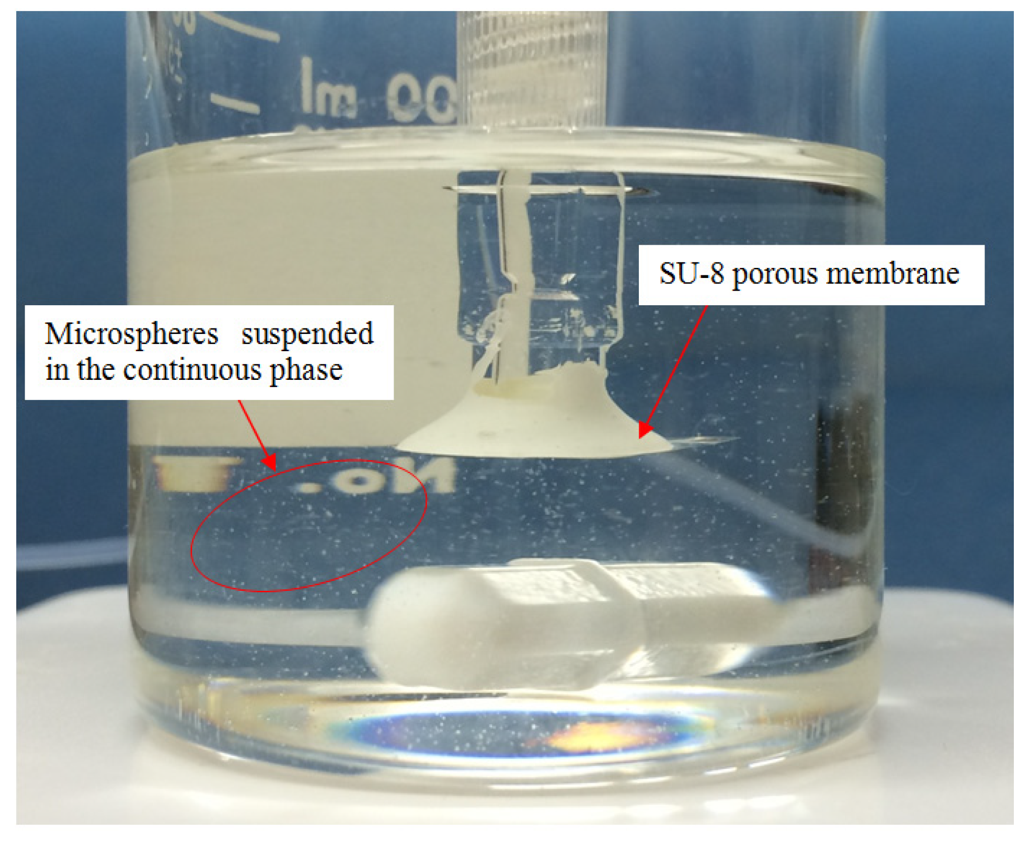 Micromachines 15 01118 g013