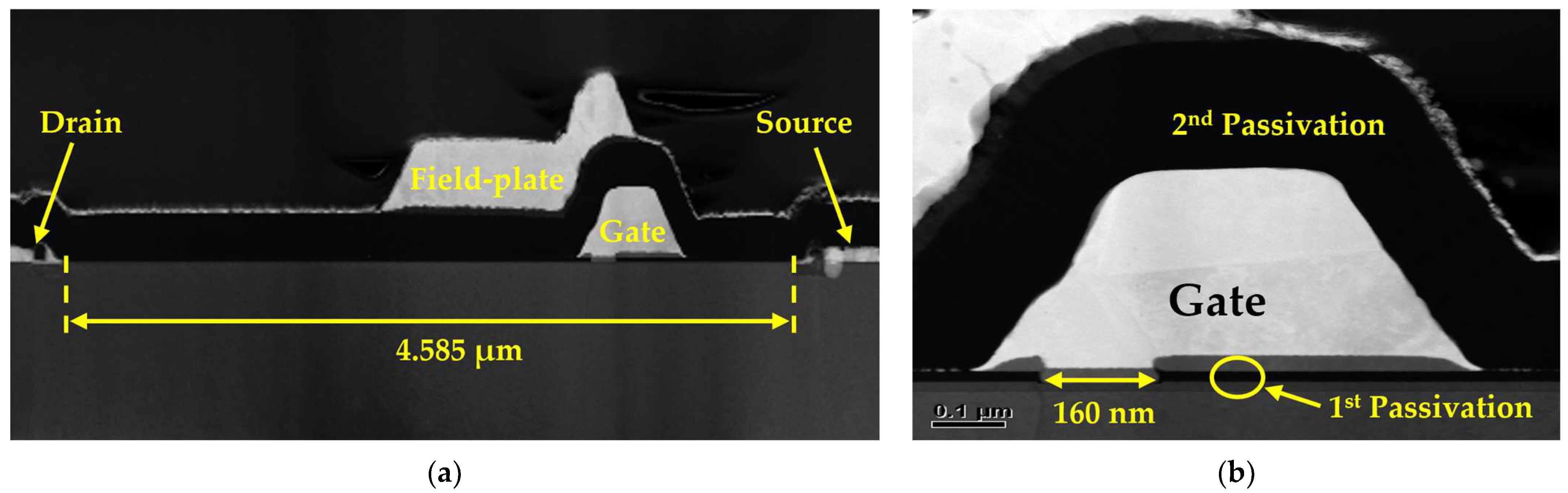 Micromachines 15 01126 g001