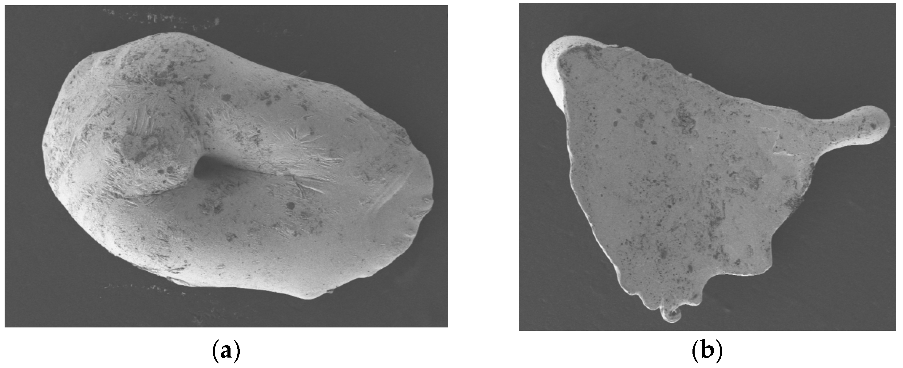 Micromachines 15 01139 g010