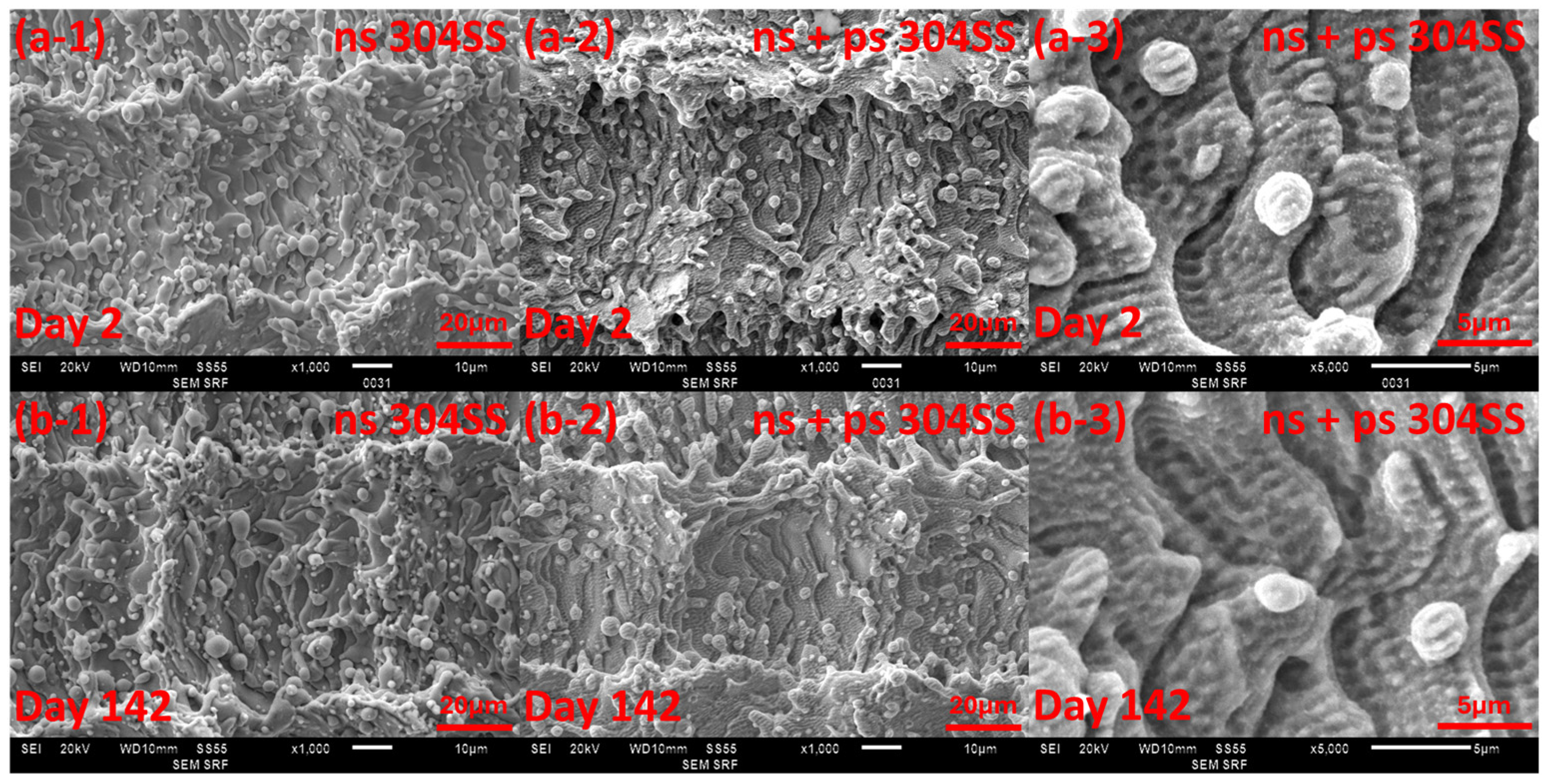 Micromachines 15 01146 g012