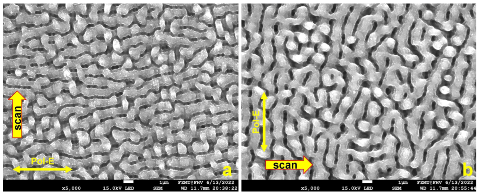 Micromachines 15 01161 g003
