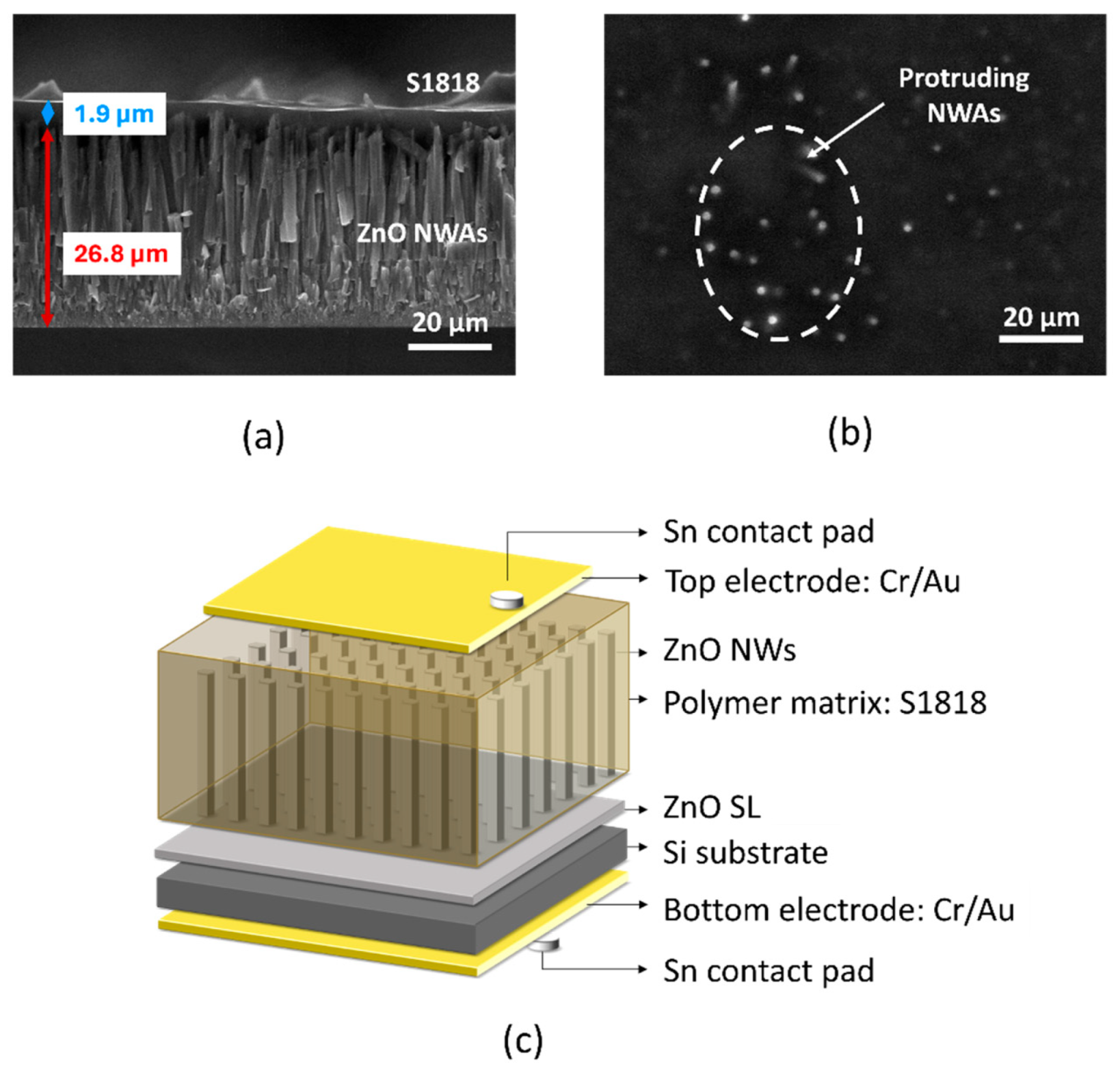 Micromachines 15 01179 g009