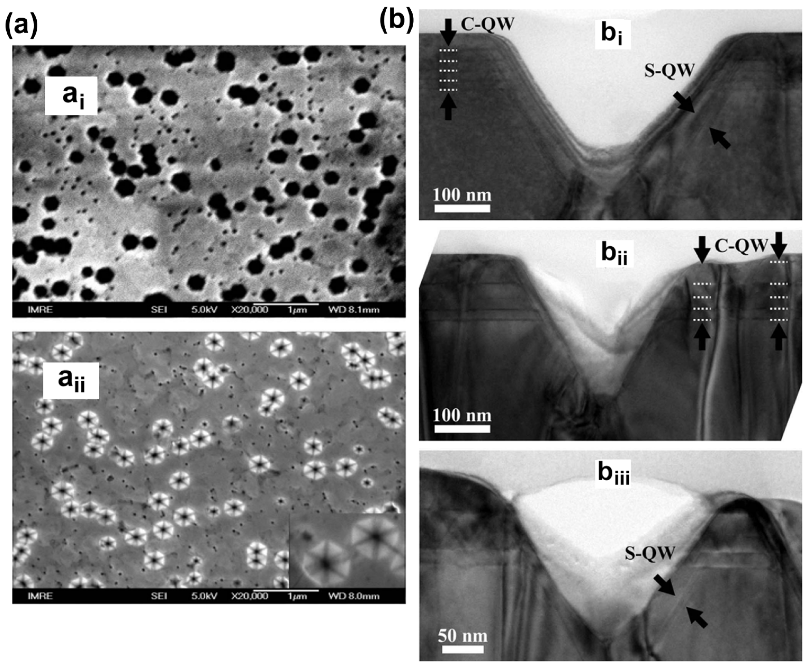 Micromachines 15 01188 g009
