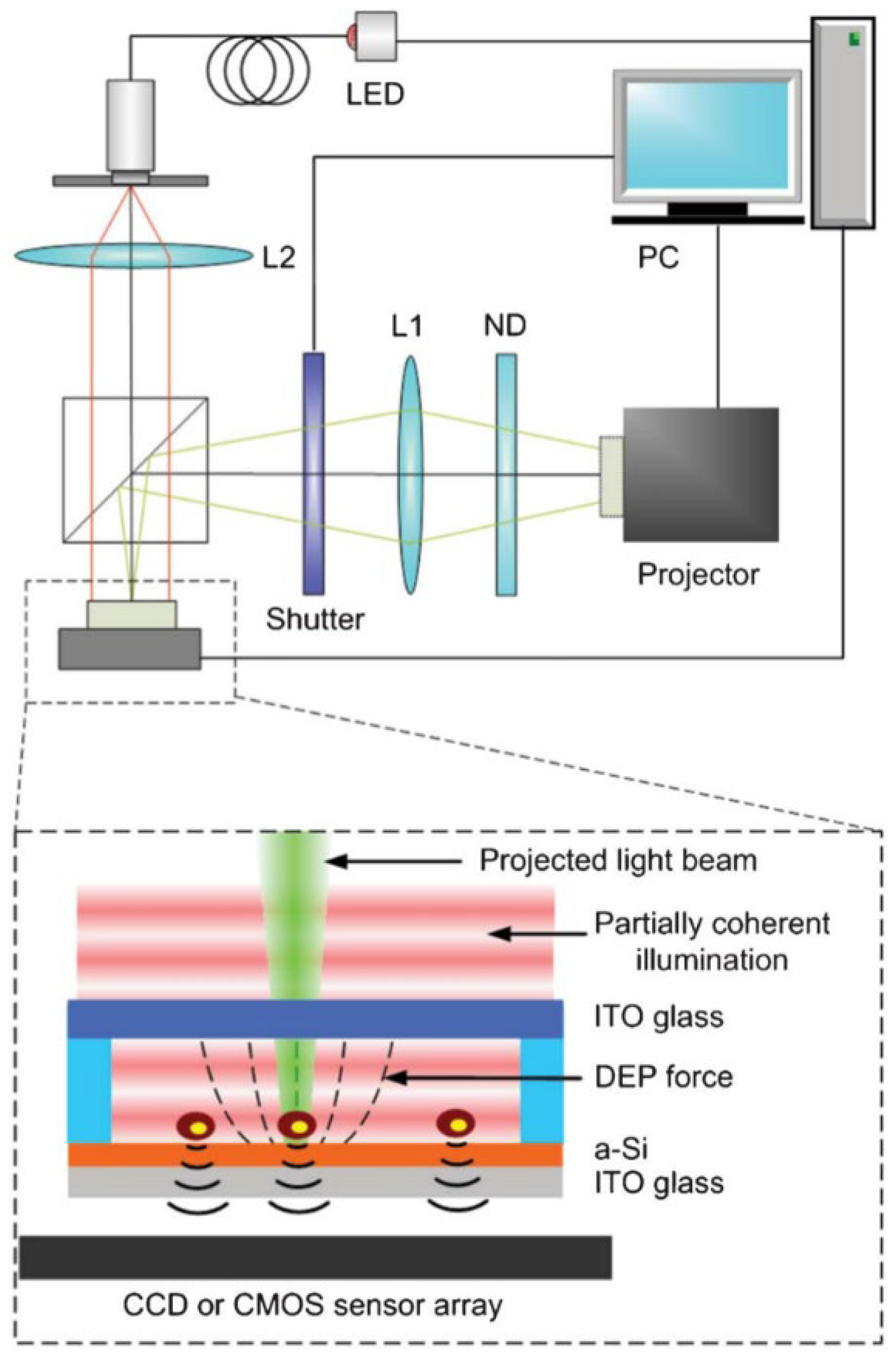 Micromachines 15 01188 g036