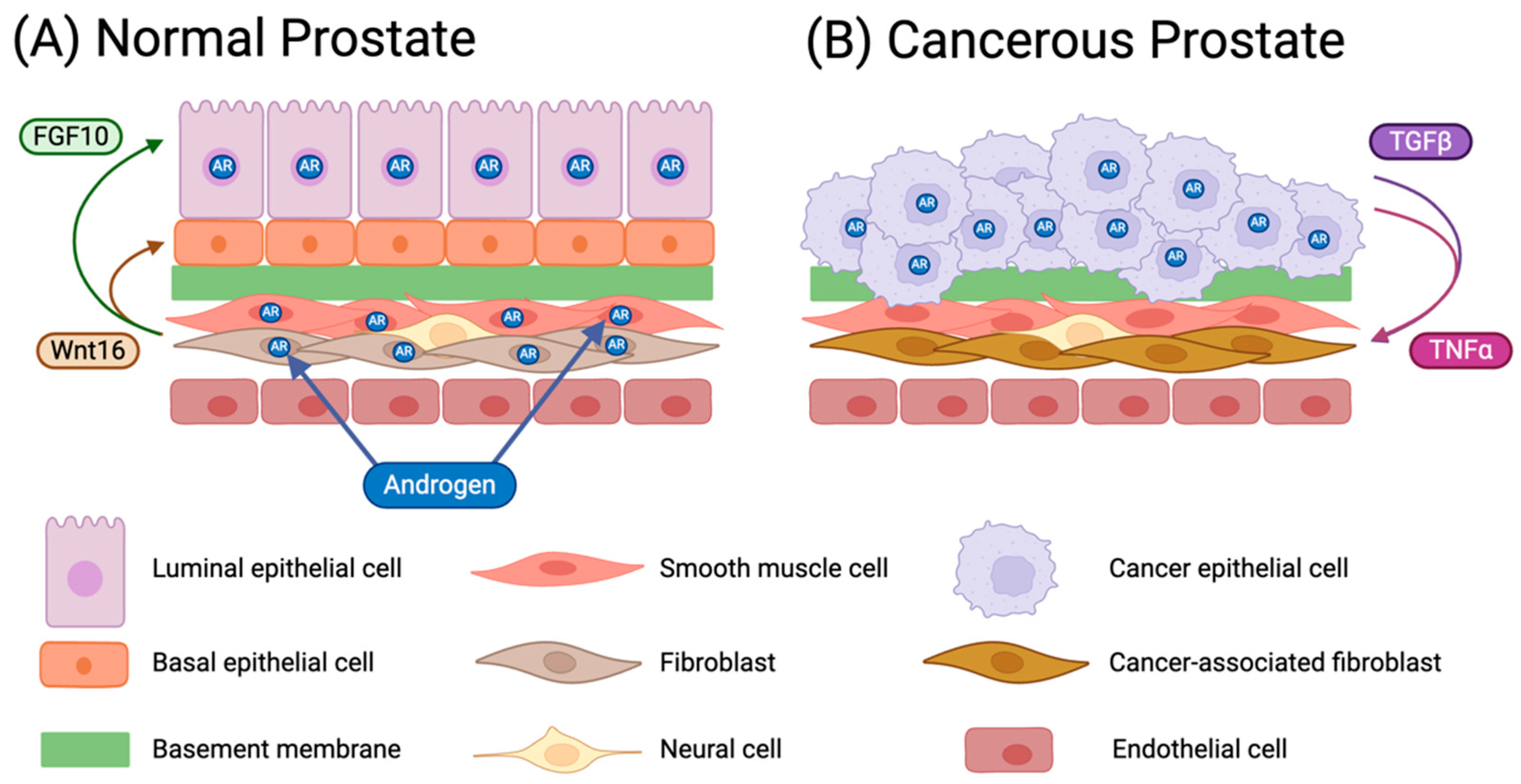 Micromachines 15 01195 g001 Micromachines 15 01195 g001
