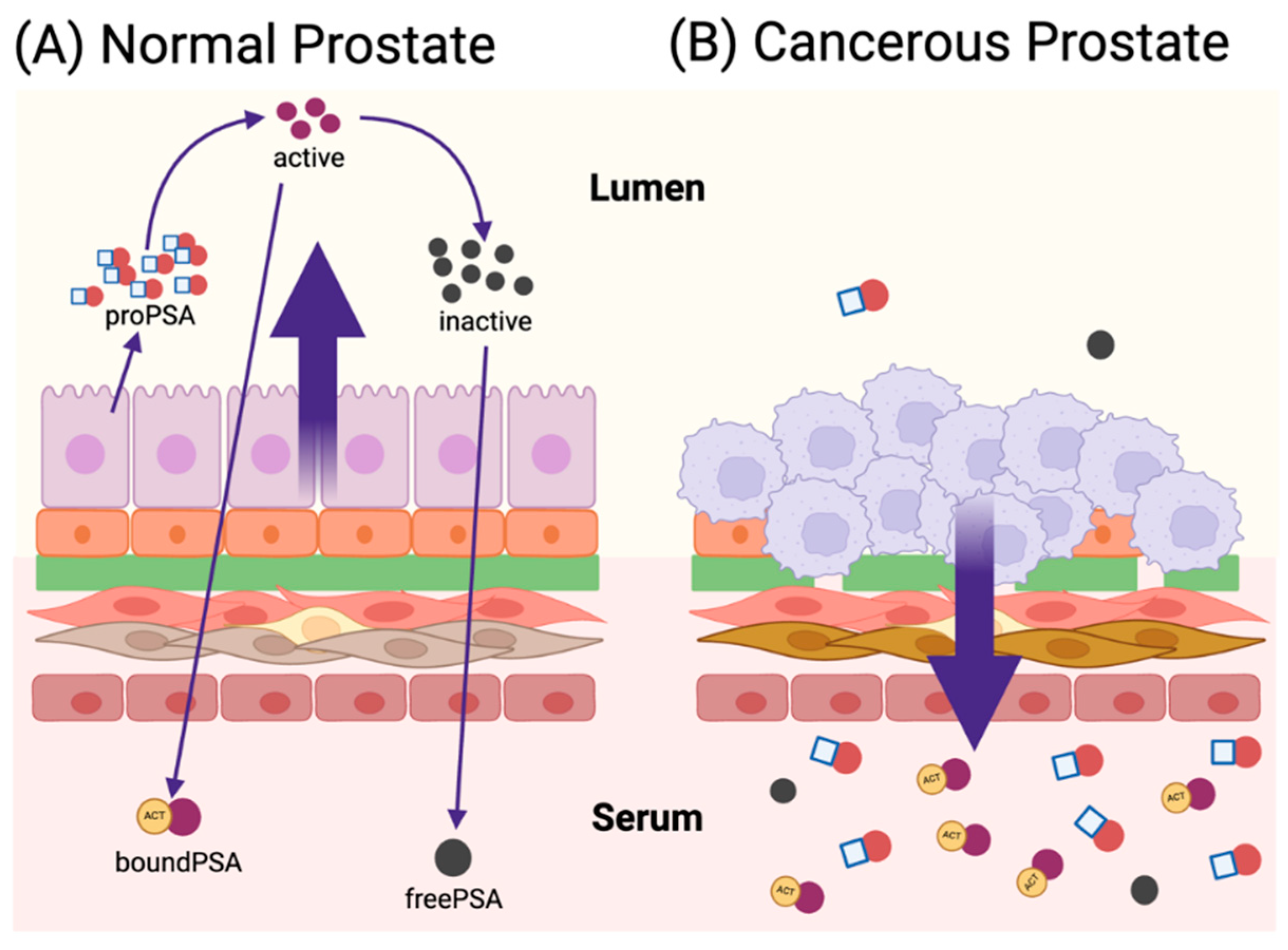 Micromachines 15 01195 g004 Micromachines 15 01195 g004