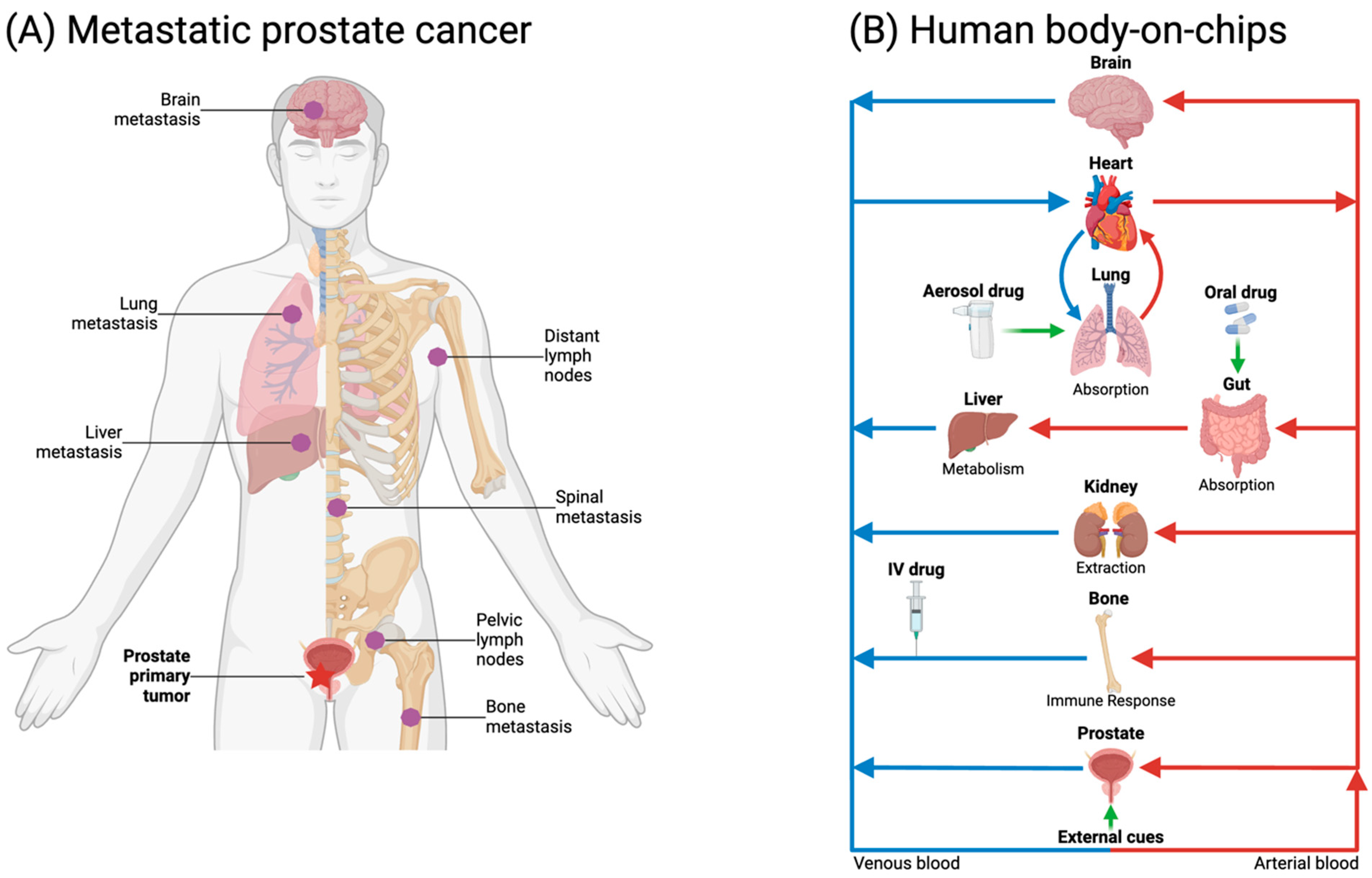 Micromachines 15 01195 g005 Micromachines 15 01195 g005