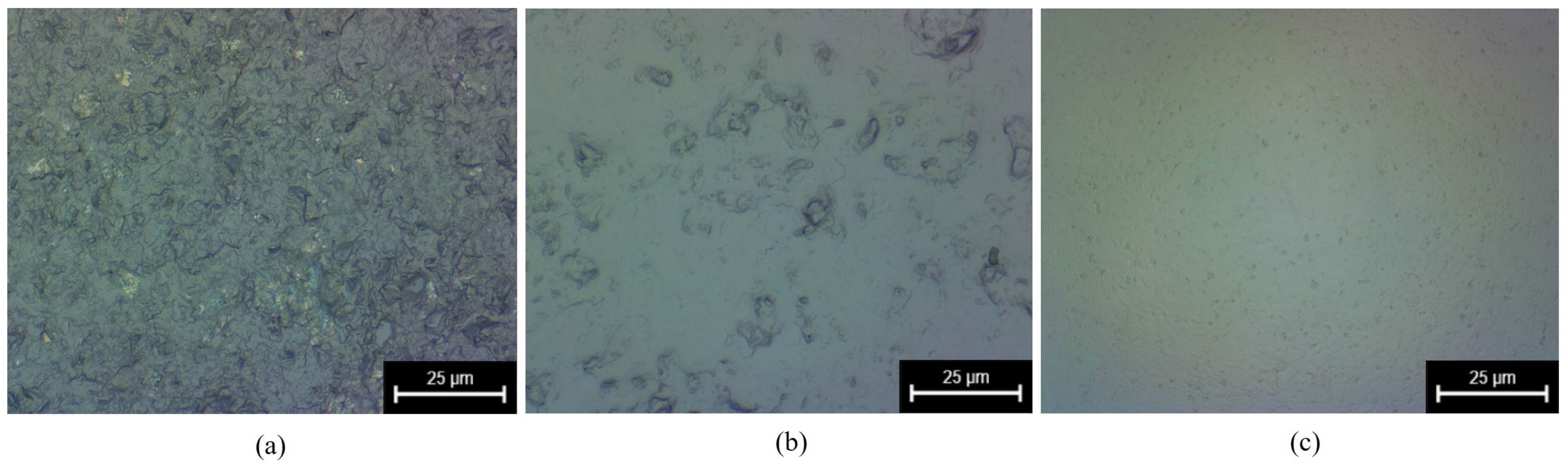 Micromachines 15 01216 g010