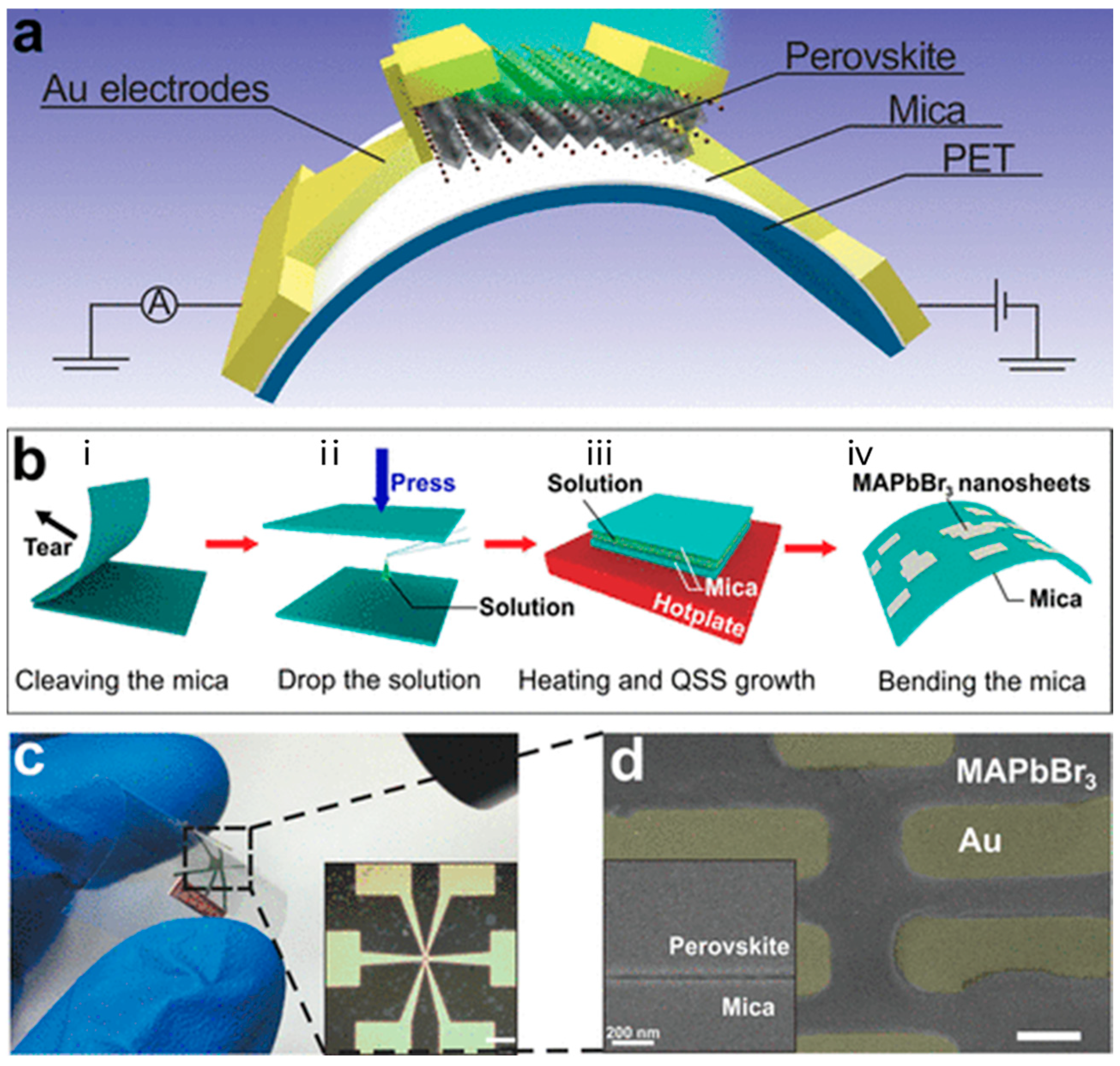 Micromachines 15 01249 g003
