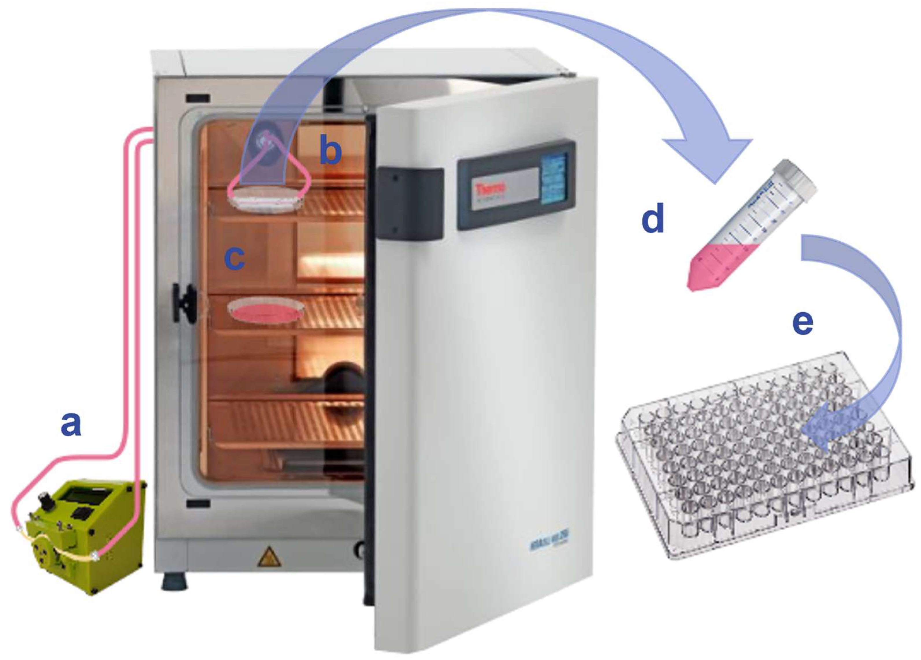 Micromachines 15 01348 g002 Micromachines 15 01348 g002