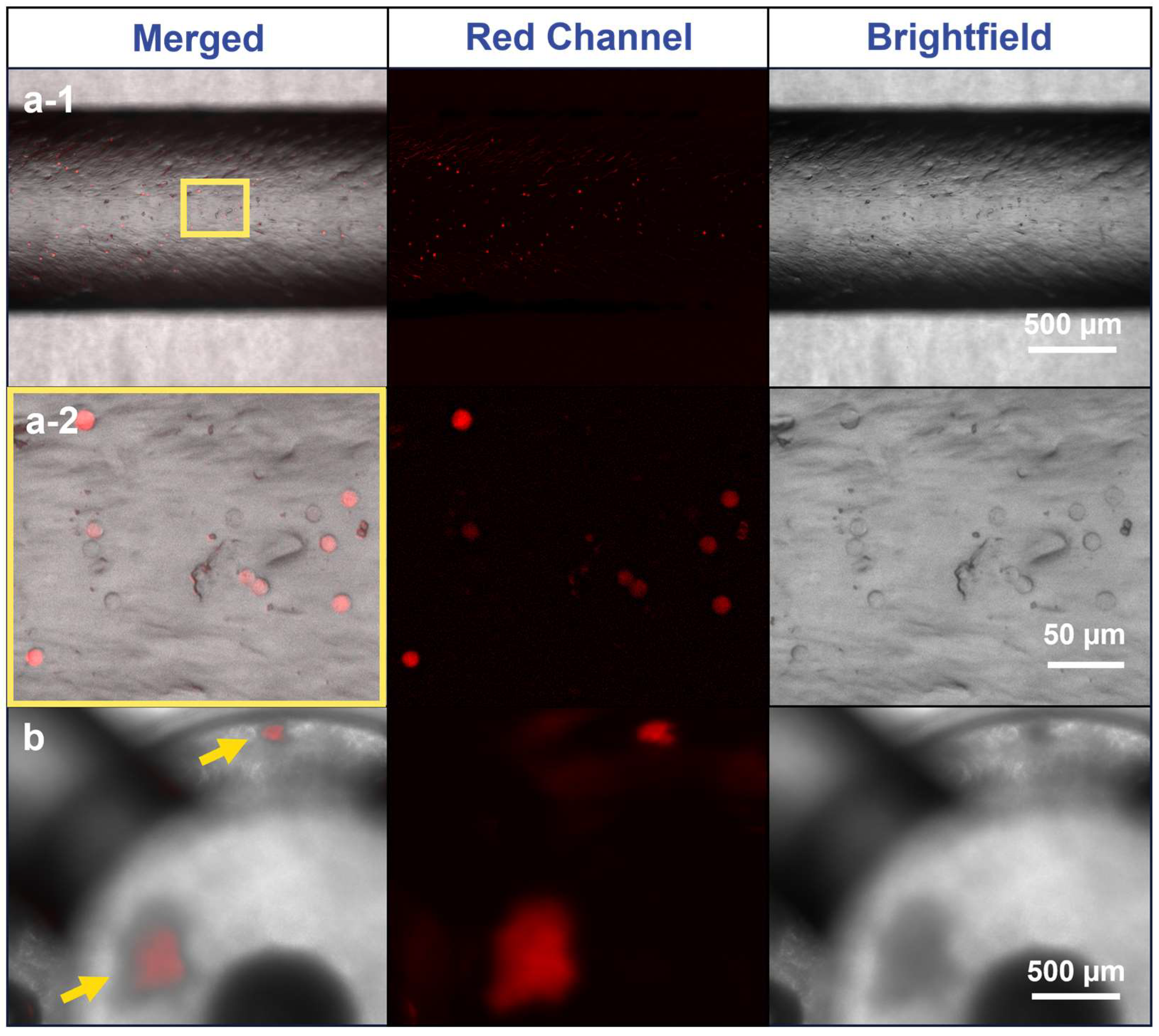 Micromachines 15 01348 g006 Micromachines 15 01348 g006