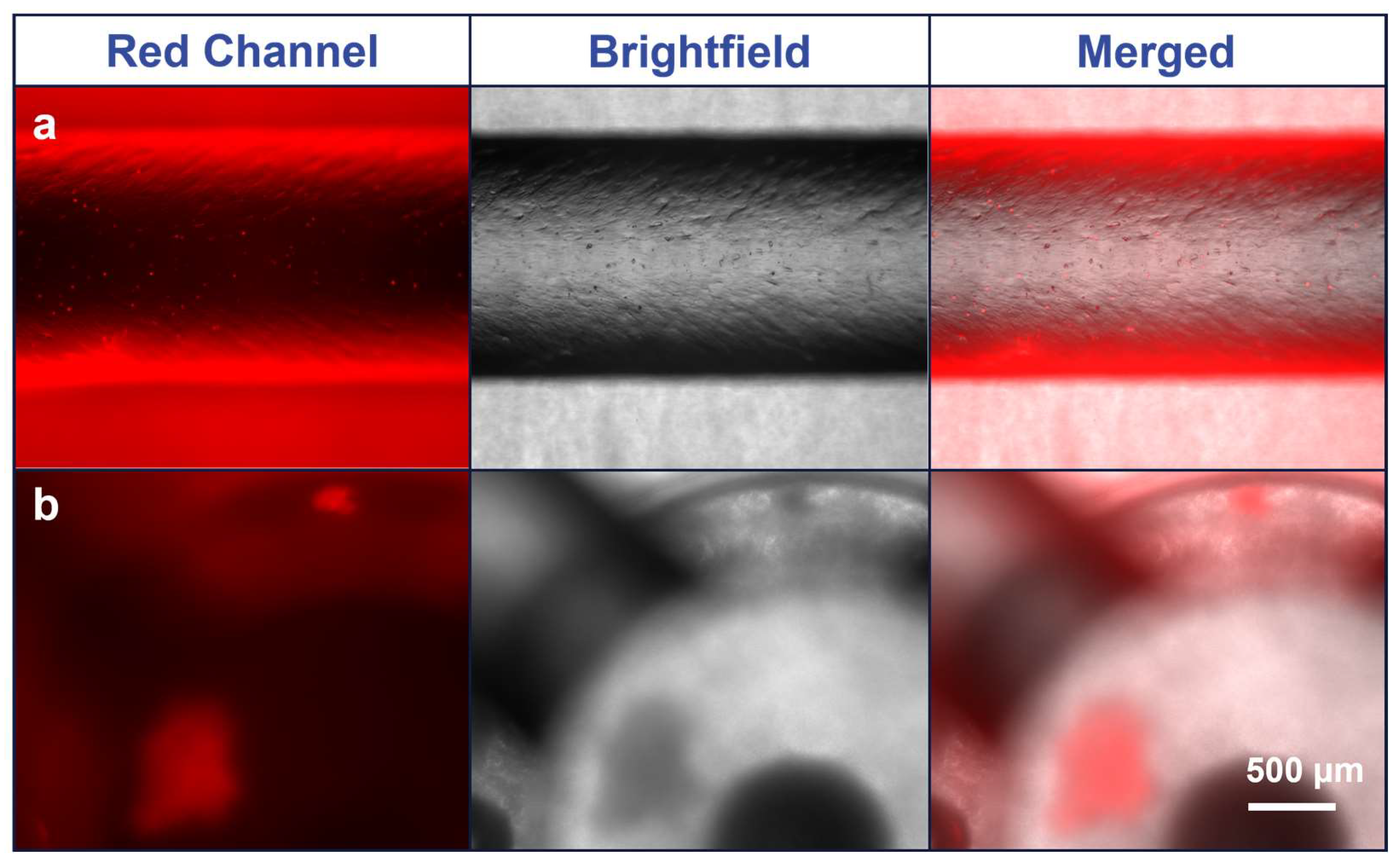 Micromachines 15 01348 g0a5 Micromachines 15 01348 g0a5