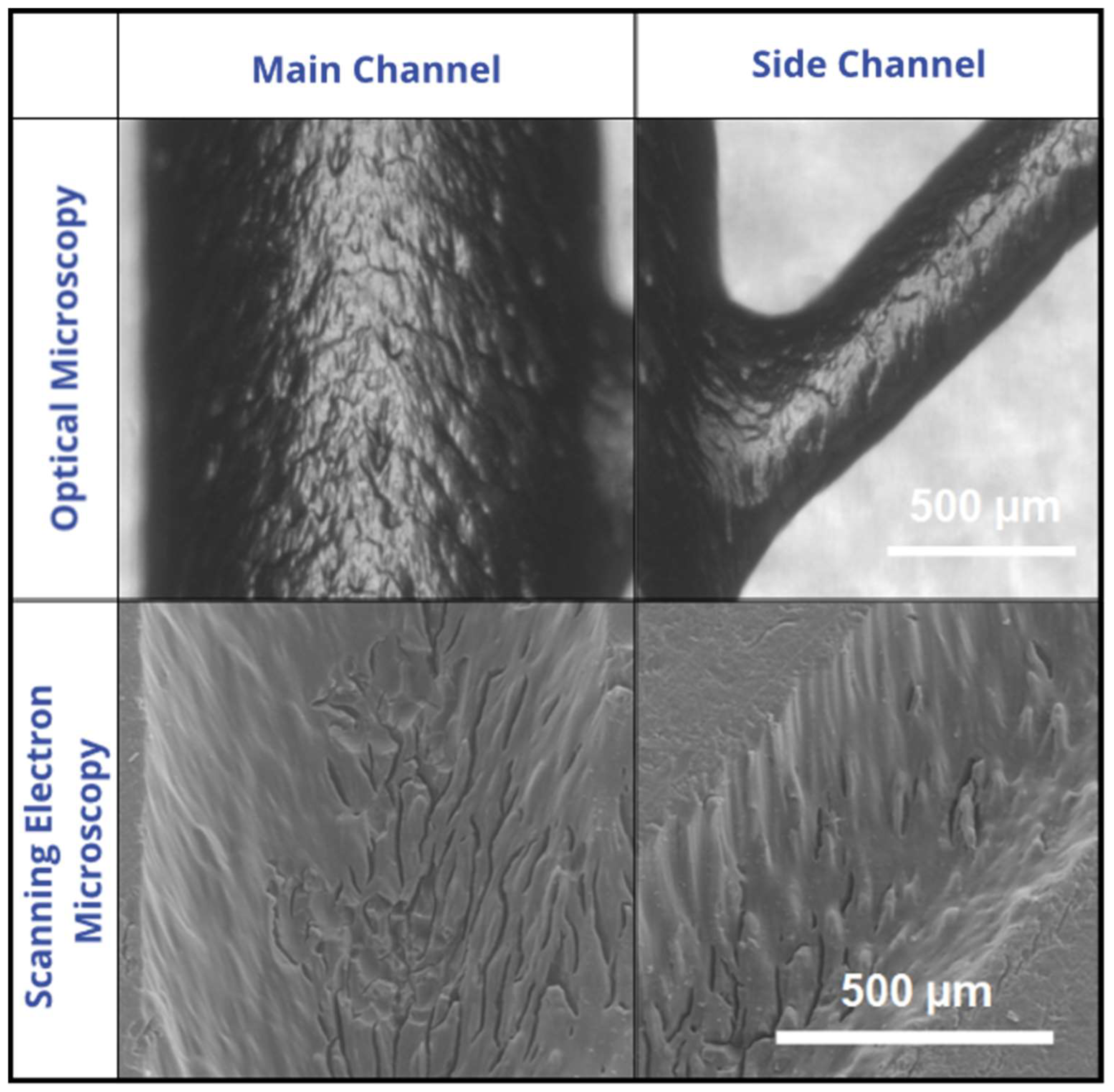 Micromachines 15 01348 g0a6 Micromachines 15 01348 g0a6