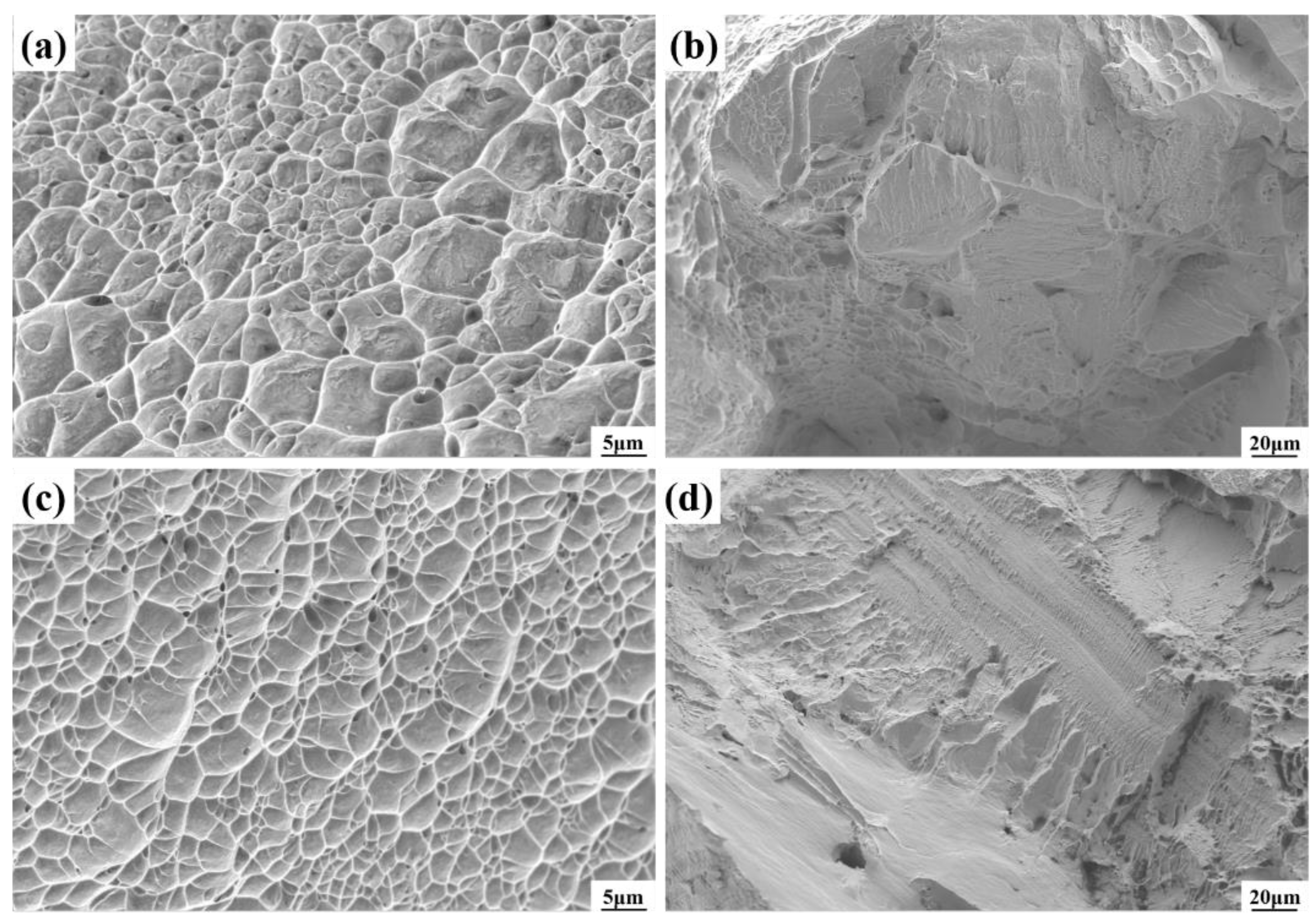 Micromachines 15 01383 g007