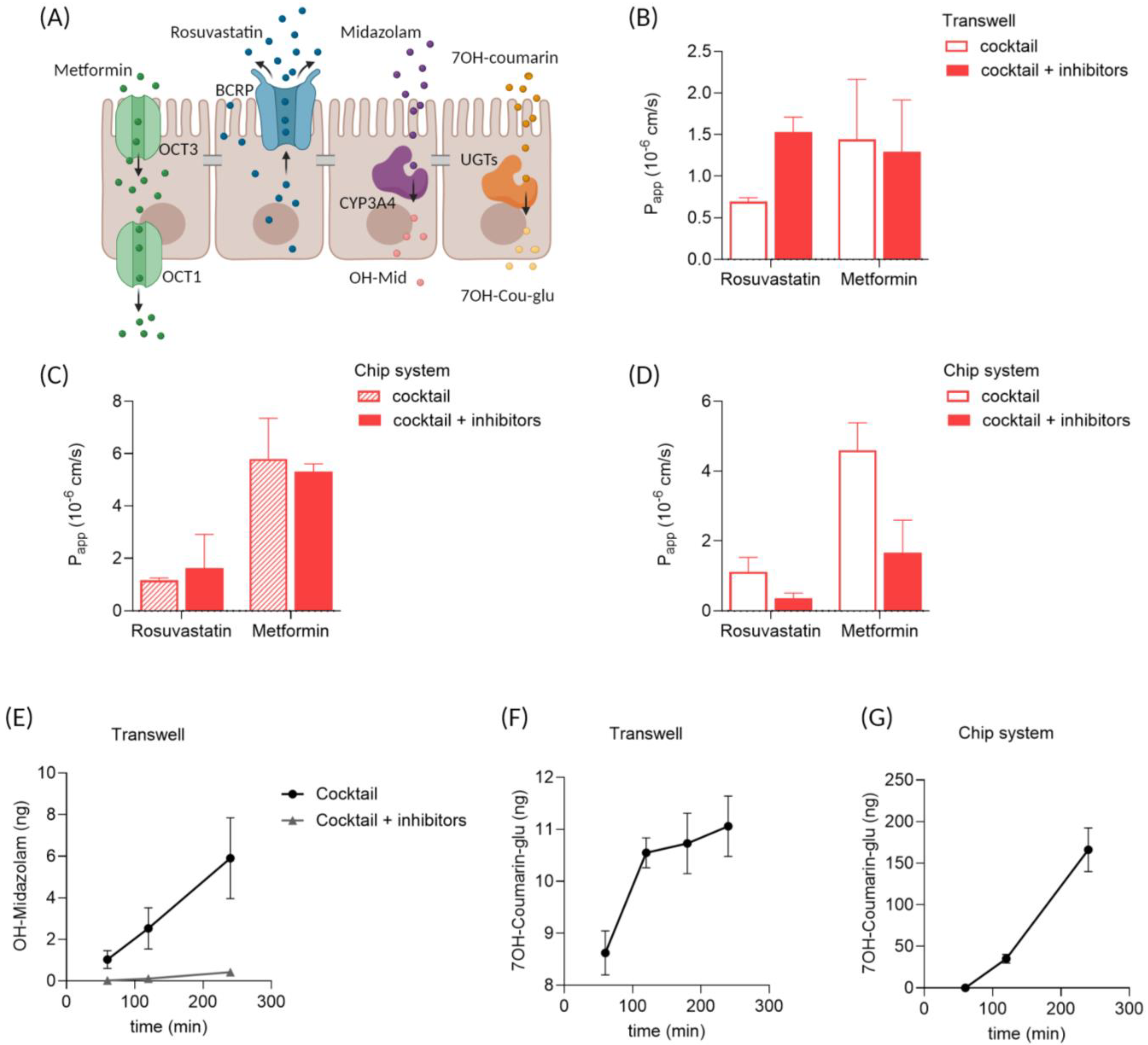 Micromachines 15 01464 g005