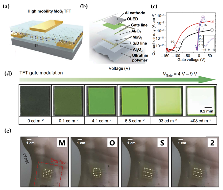 Micromachines 15 01476 g010 Micromachines 15 01476 g010