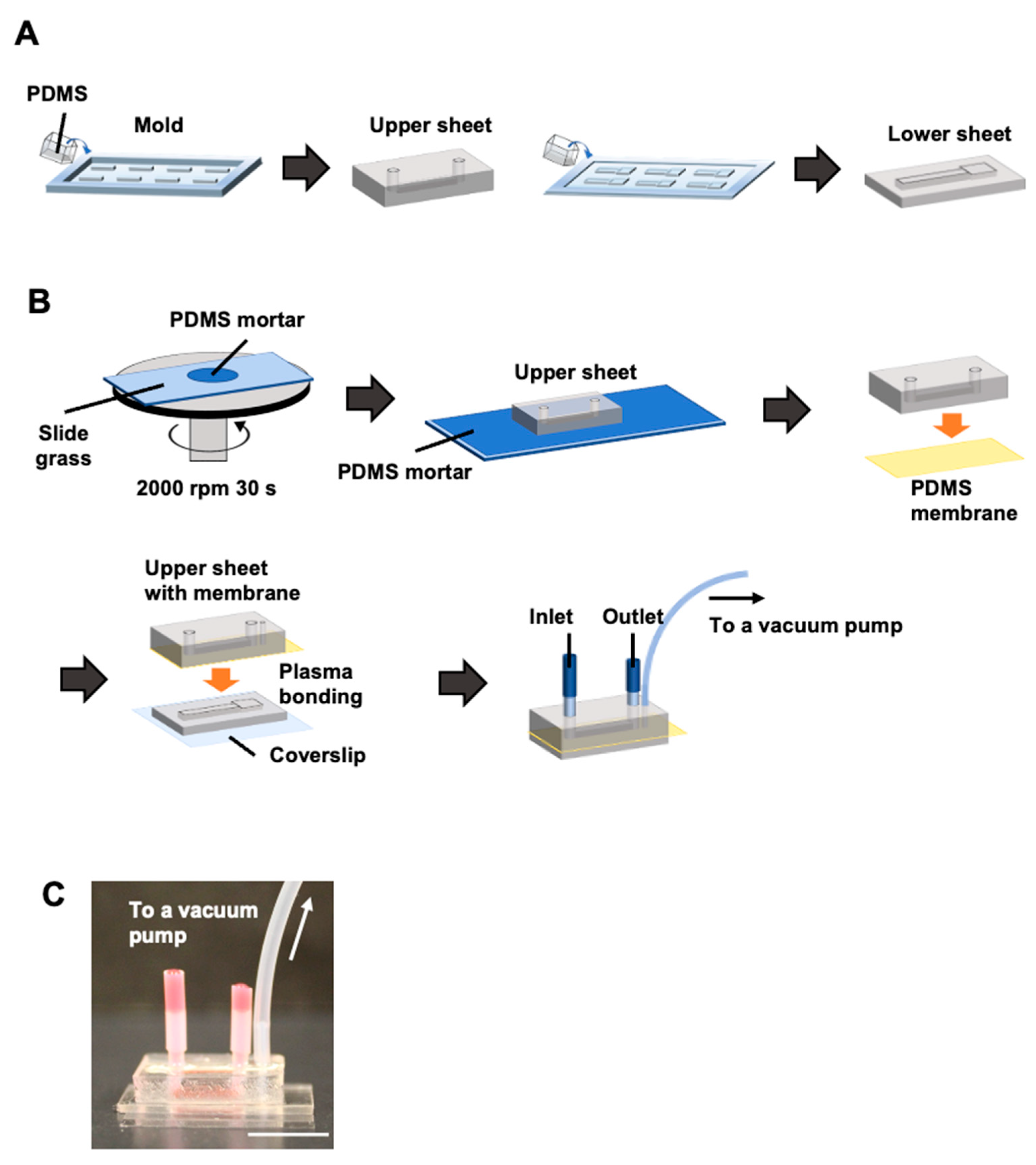 Micromachines 16 00093 g002
